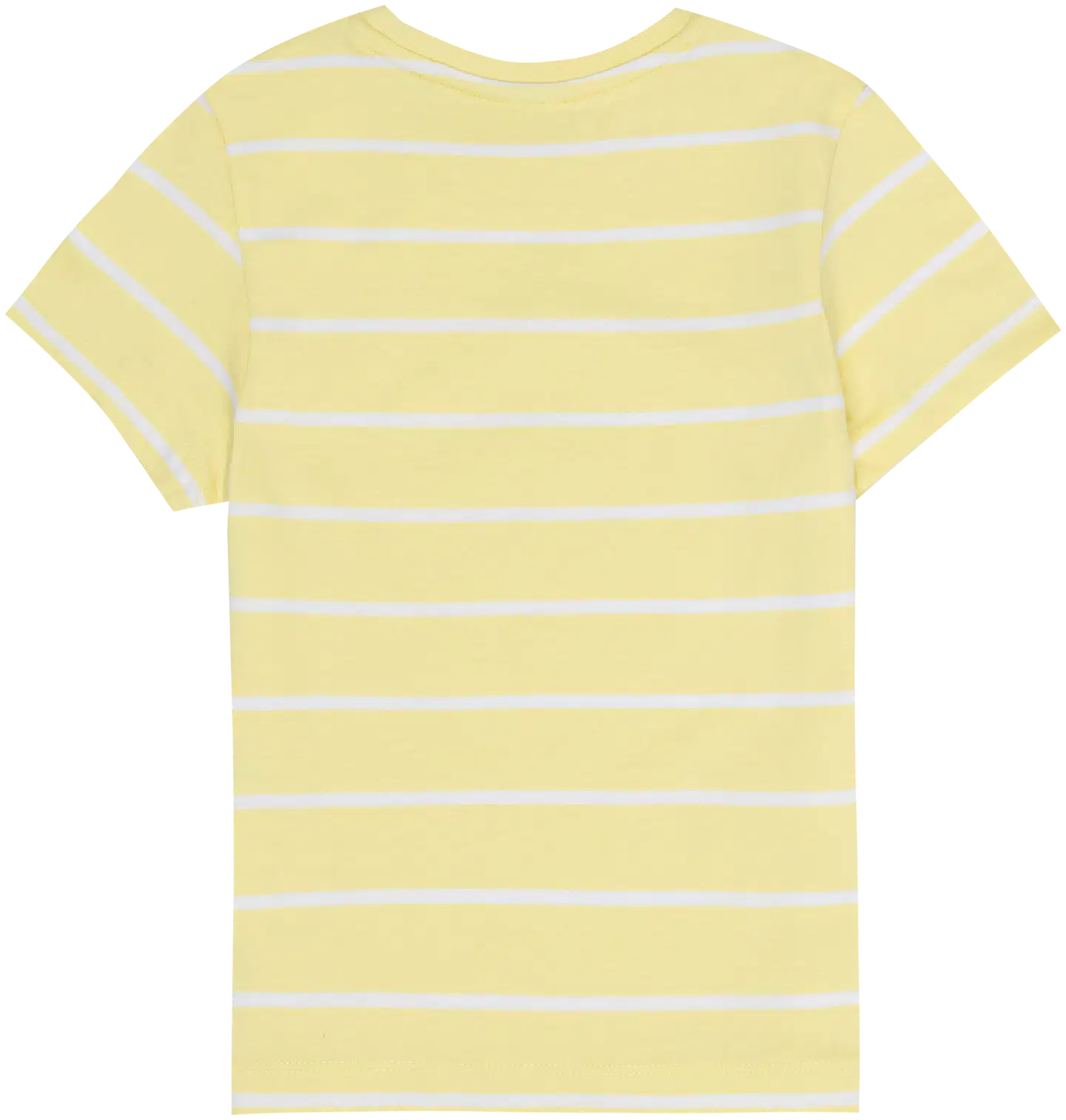 Ciraf lasten raidallinen t-paita 25TC261605 - Multicolor - 2