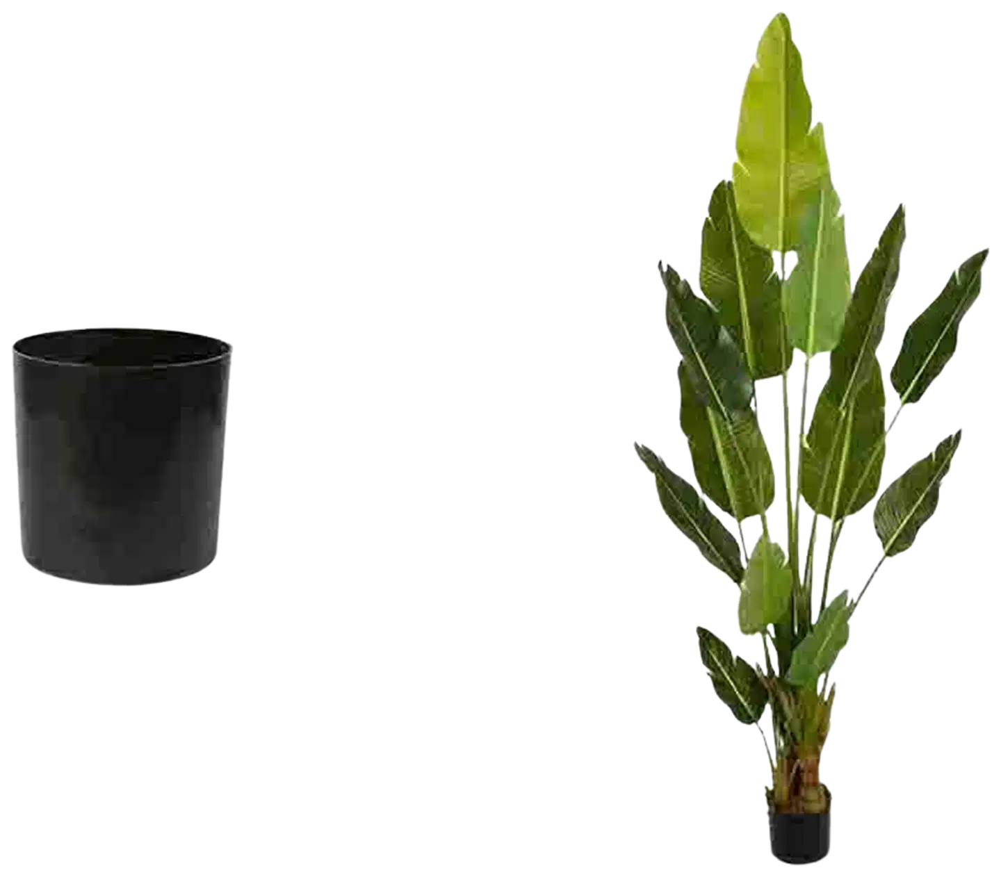 Lykke tekokasvi bird of paradise 200cm - 2