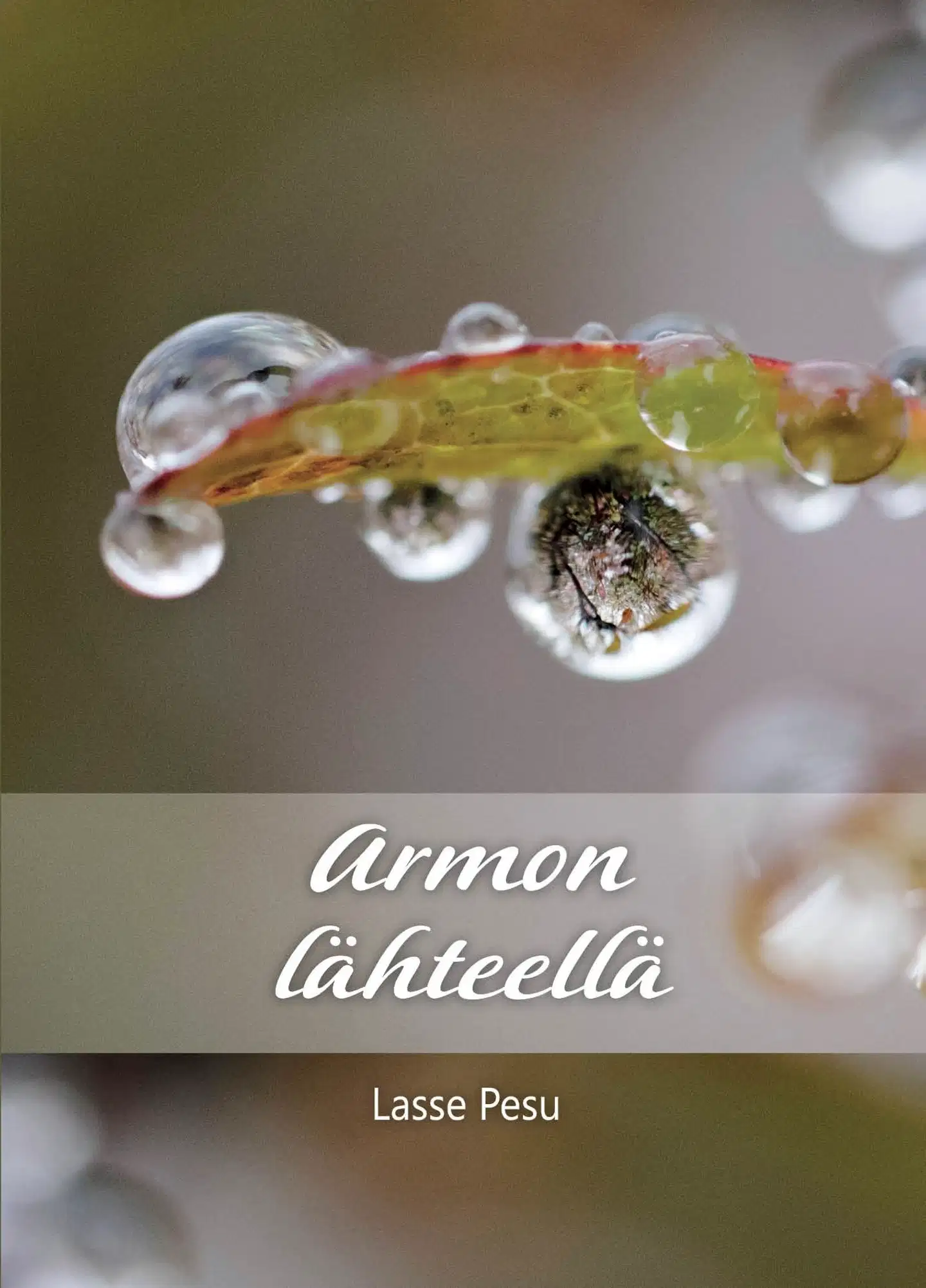 Pesu, Armon lähteellä