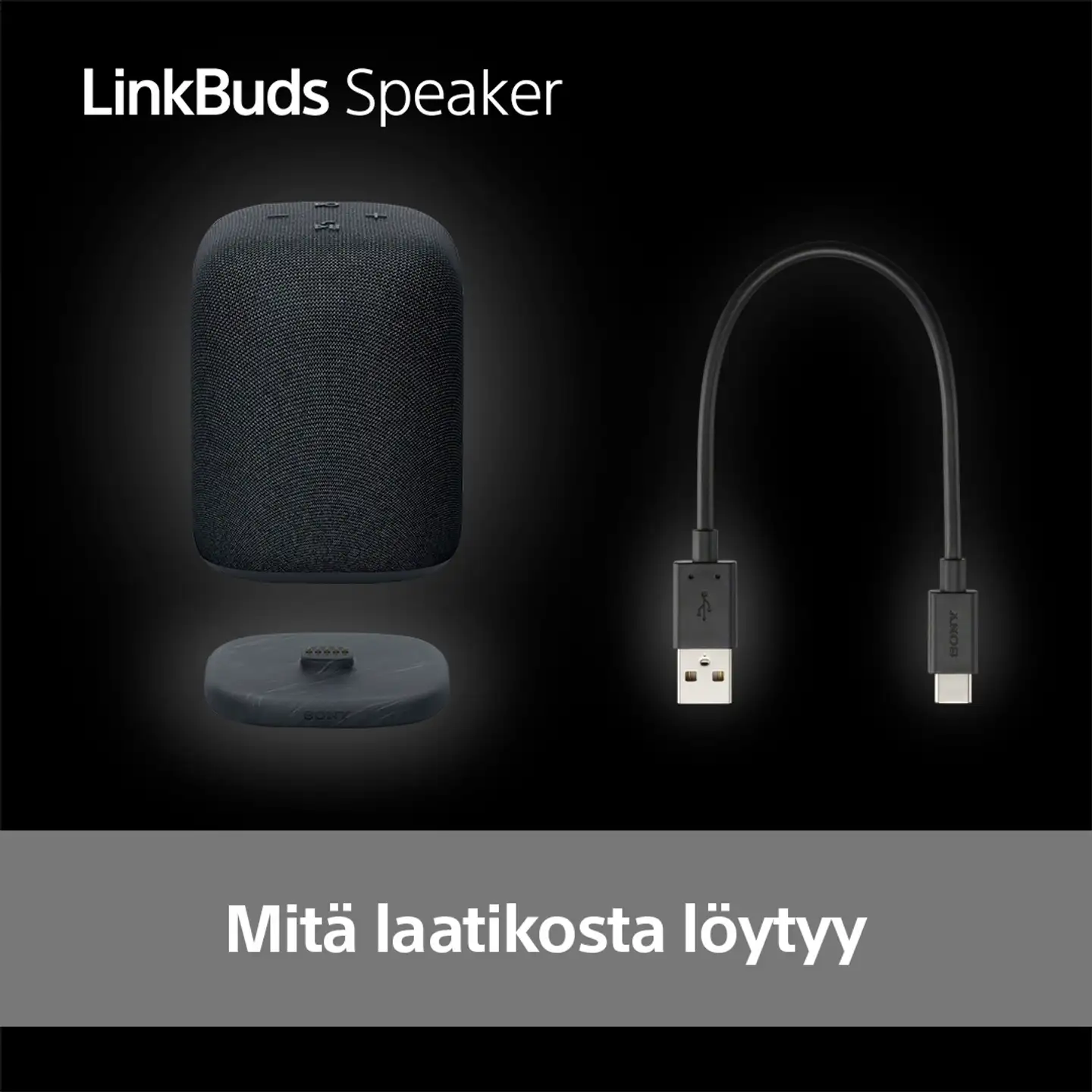 Sony langaton kaiutin LinkBuds Speaker SRS-LS1B musta - 3