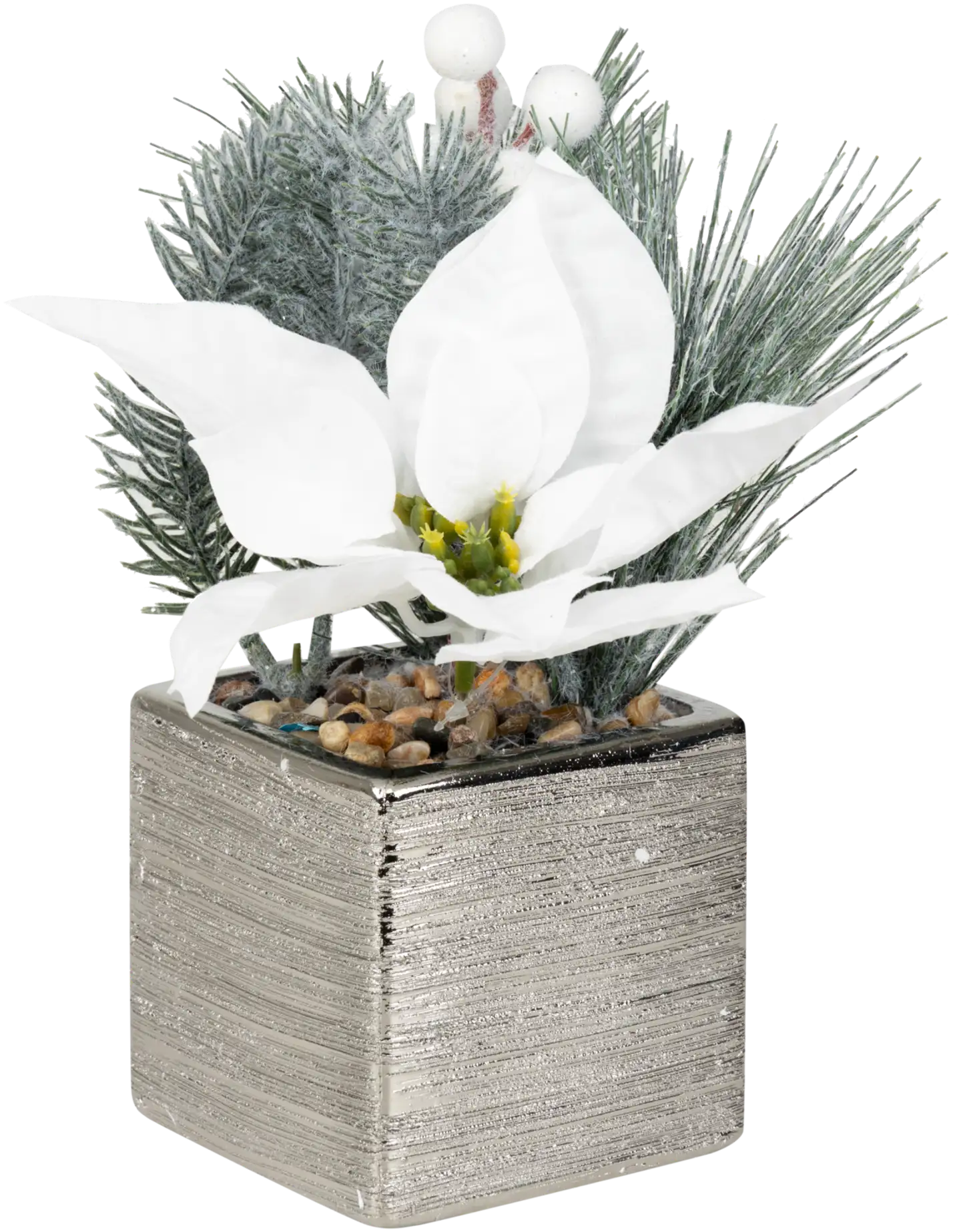 Tekokasvi Jouluasetelma ruukussa, erilaisia - 2