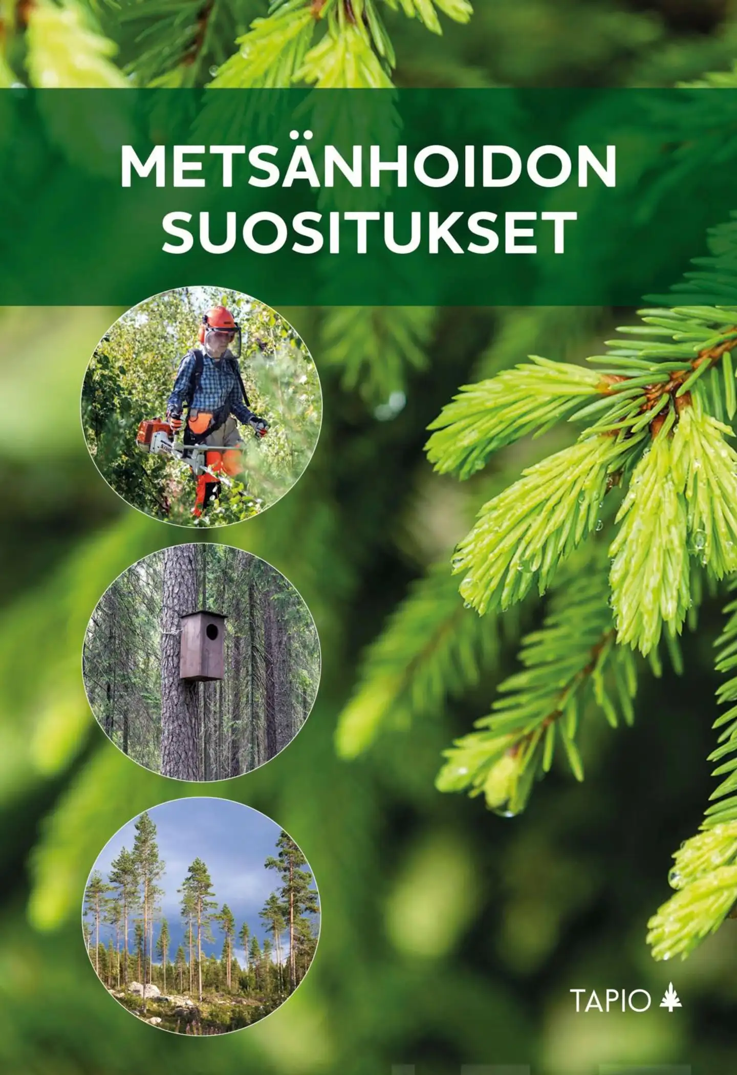 Metsänhoidon suositukset