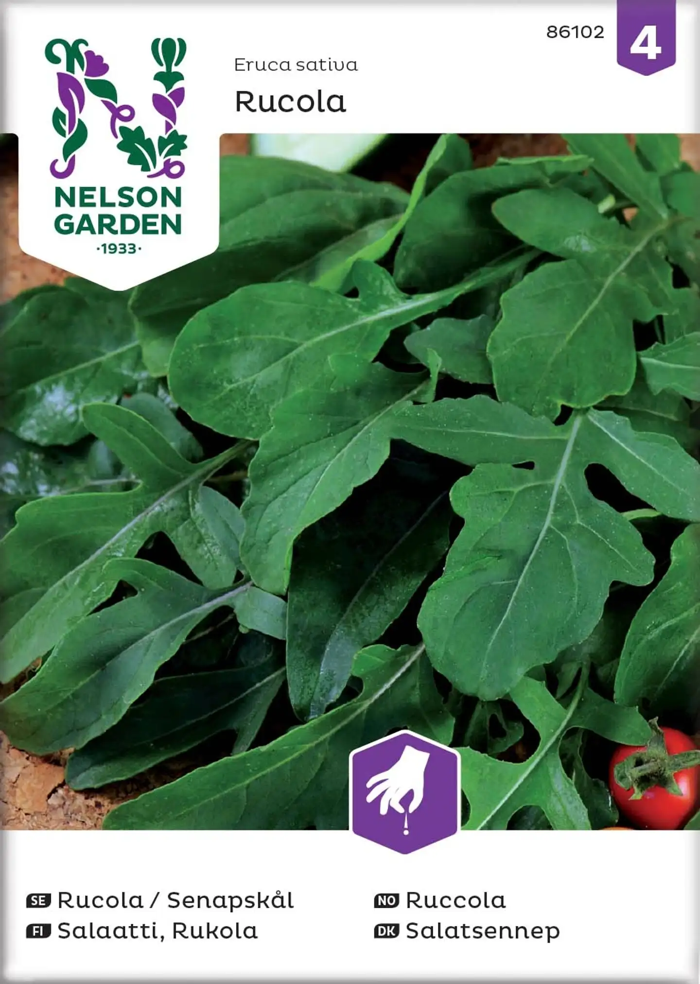 Nelson Garden Siemen Salaatti, Rukola