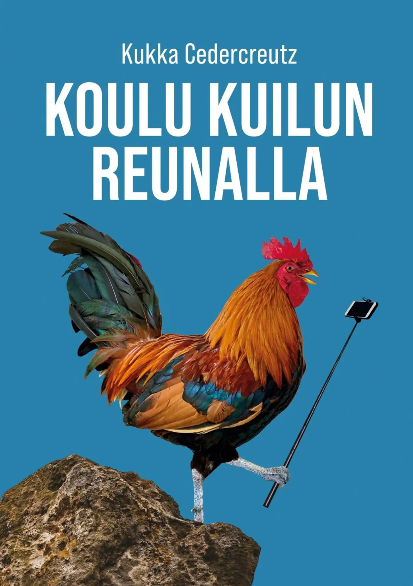 Cedercreutz, Koulu kuilun reunalla