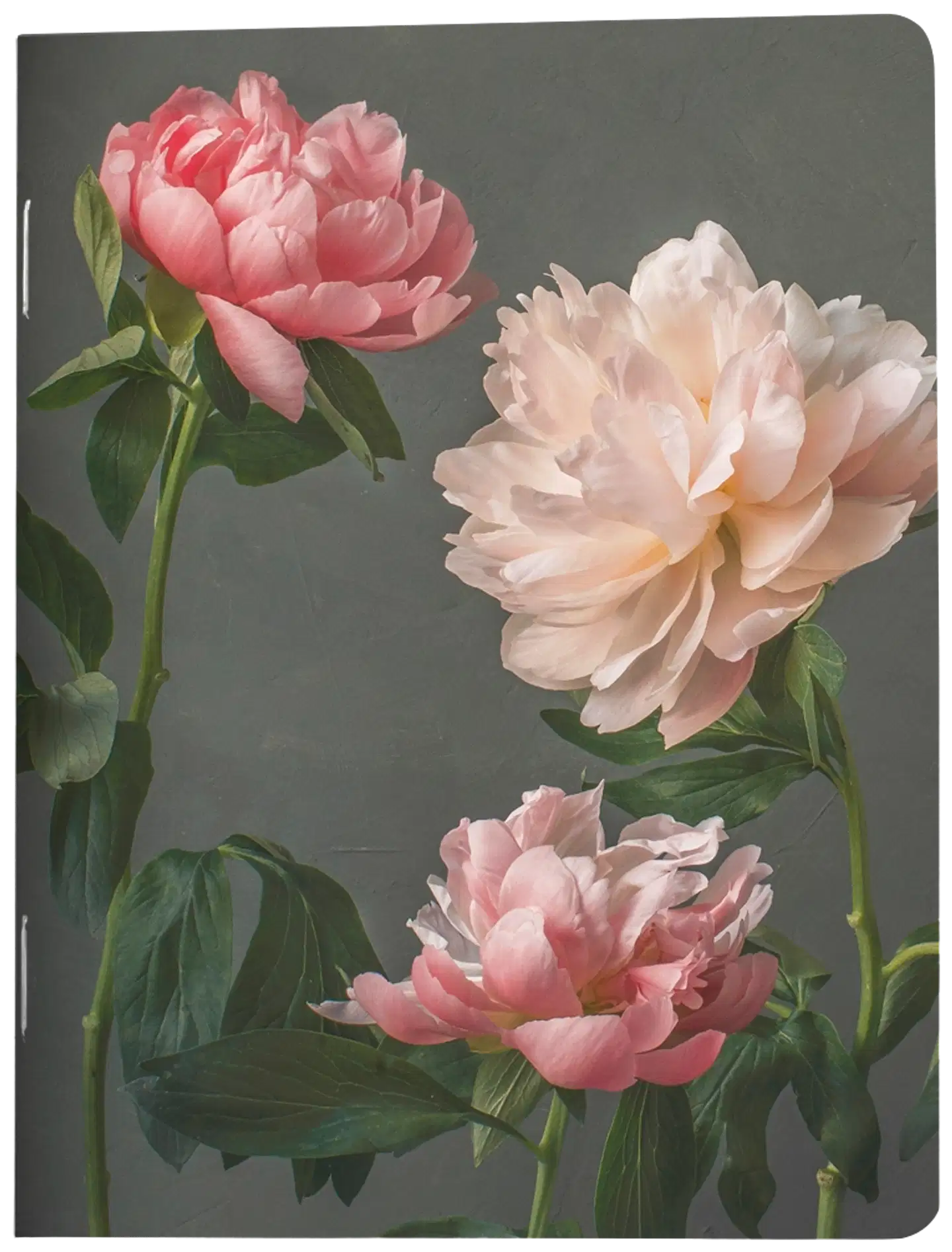 VIHKO 9x12 PUTINKI JÄRVENPÄÄ Coral Crush 2021