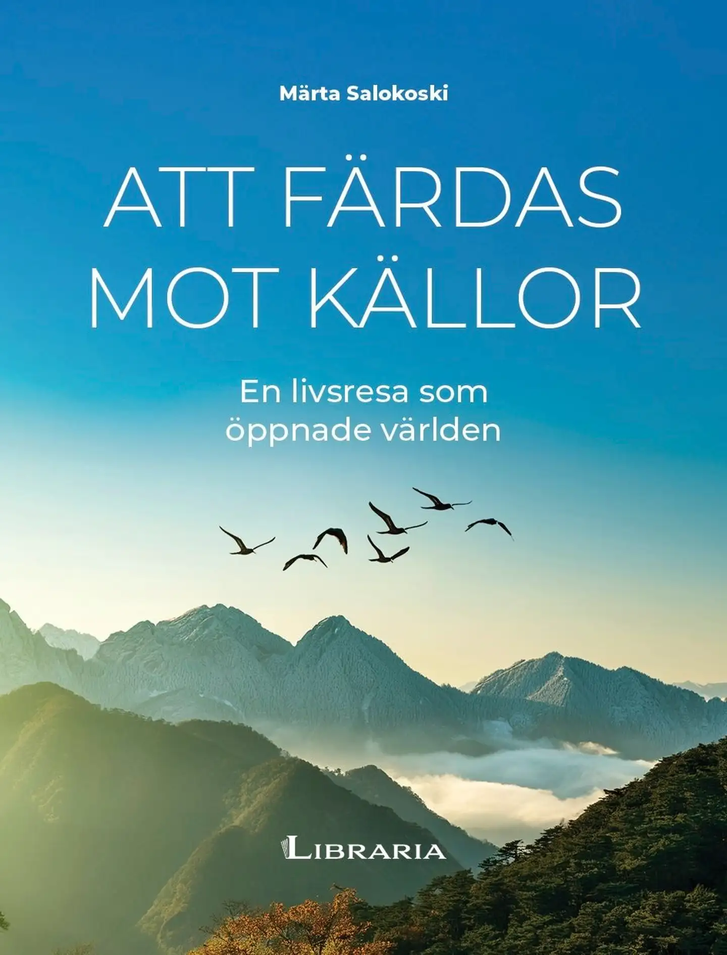 Salokoski, Att färdas mot källor - En livsresa som öppnade världen