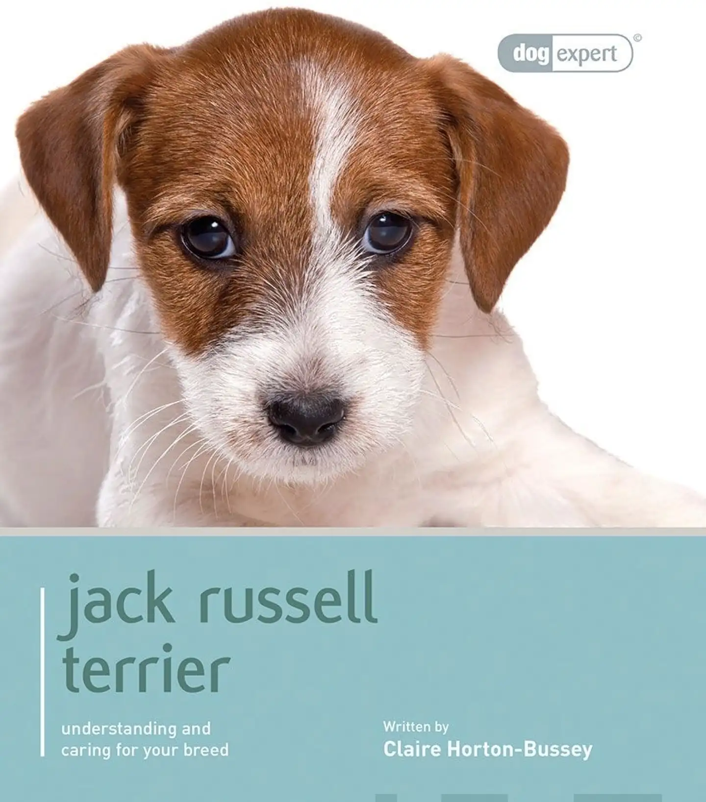 Horton-Bussey, Jack Russell Terrier - Understanding and caring for your breed