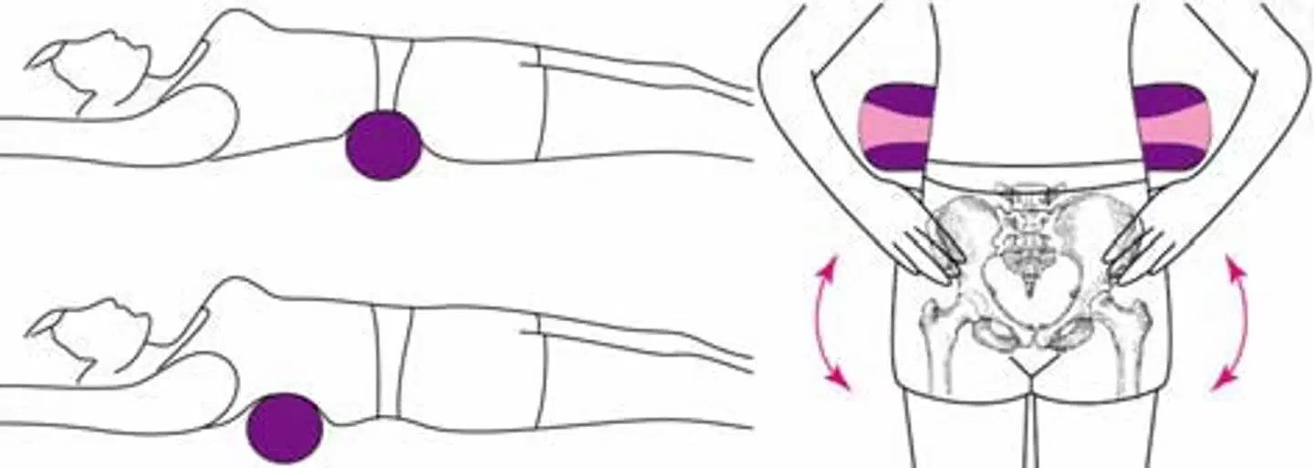 Eco Body zenroller hierontarulla - 2