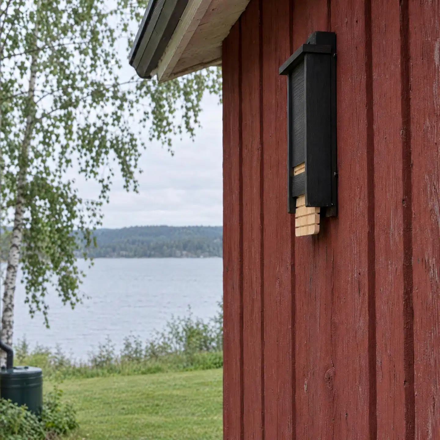 WildYard Big Bat Box lepakkopönttö, 1 kammio, setripuu, musta - 3