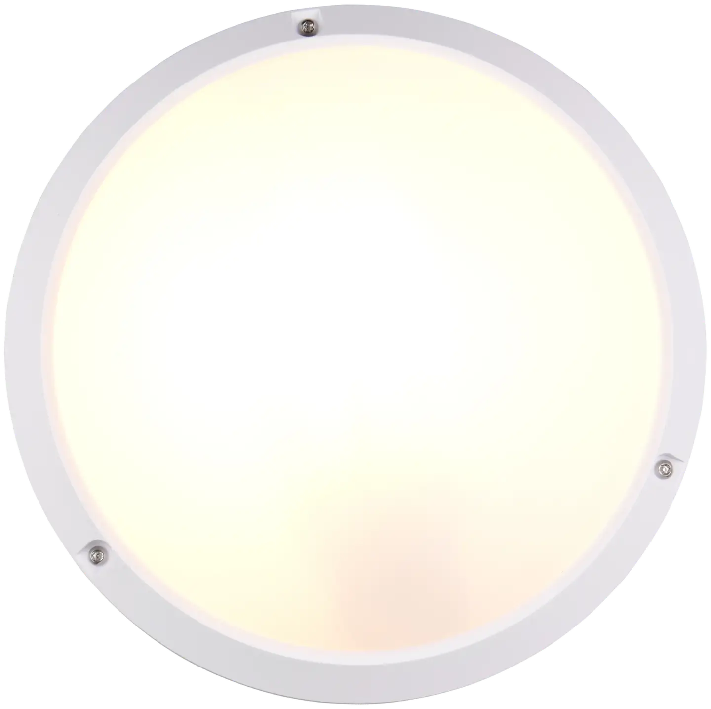 Trio ulkovalaisin Ambato 27 valkoinen IP65 iskunkestävä IK10 seinä- ja kattoasennus - 2