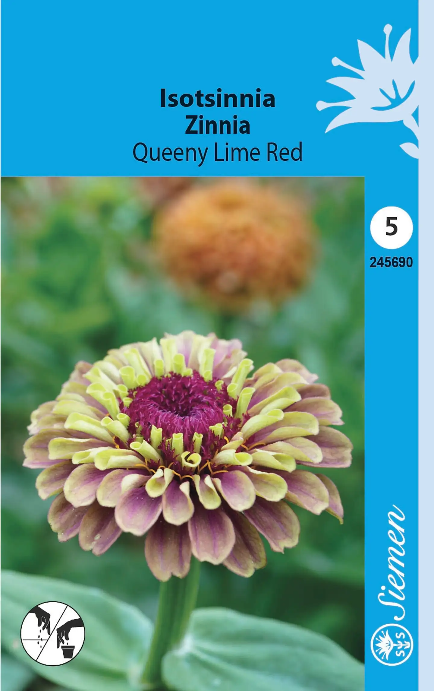 Siemen Isotsinnia Queeny Lime Red - 1