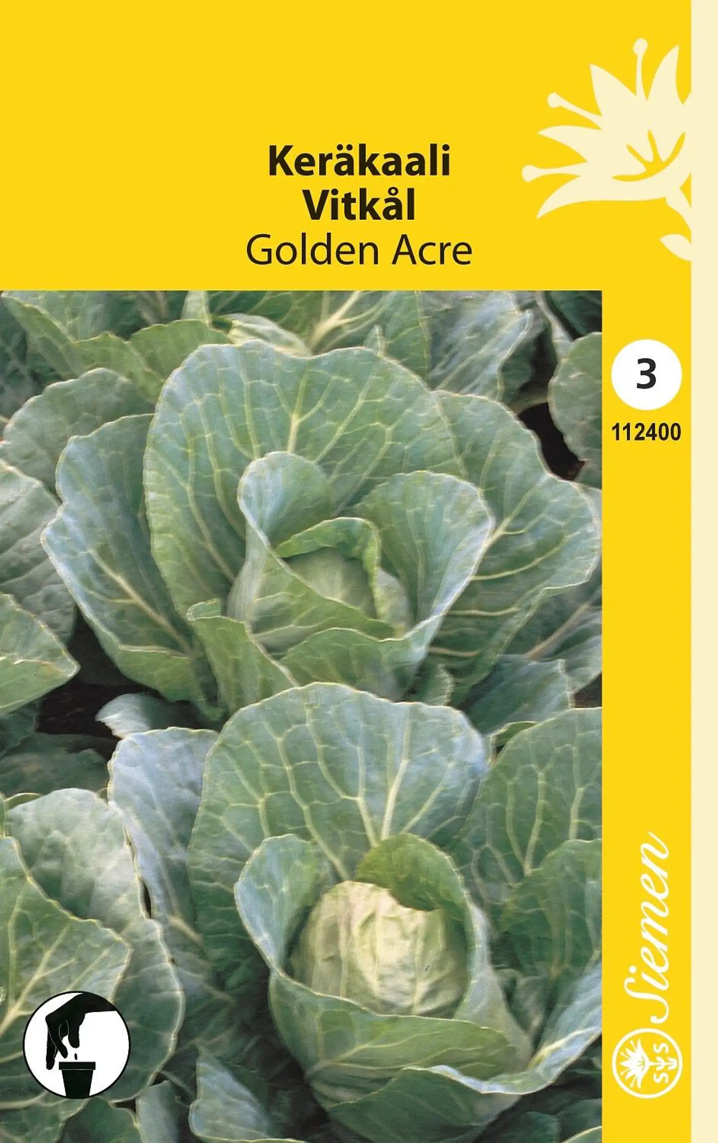 Siemen keräkaali 'Golden Acre'