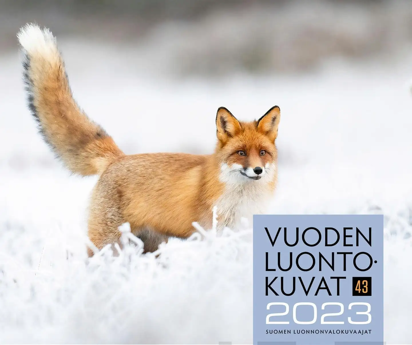Vuoden luontokuvat 2023