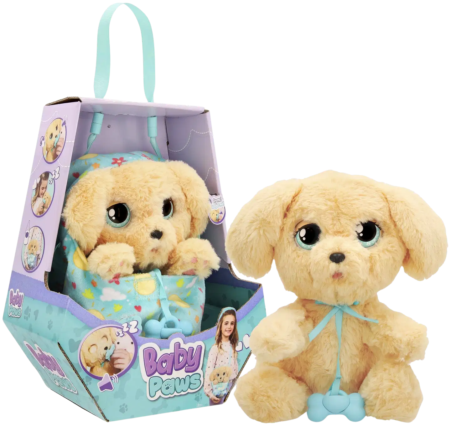 Baby Paws Labradori - 1