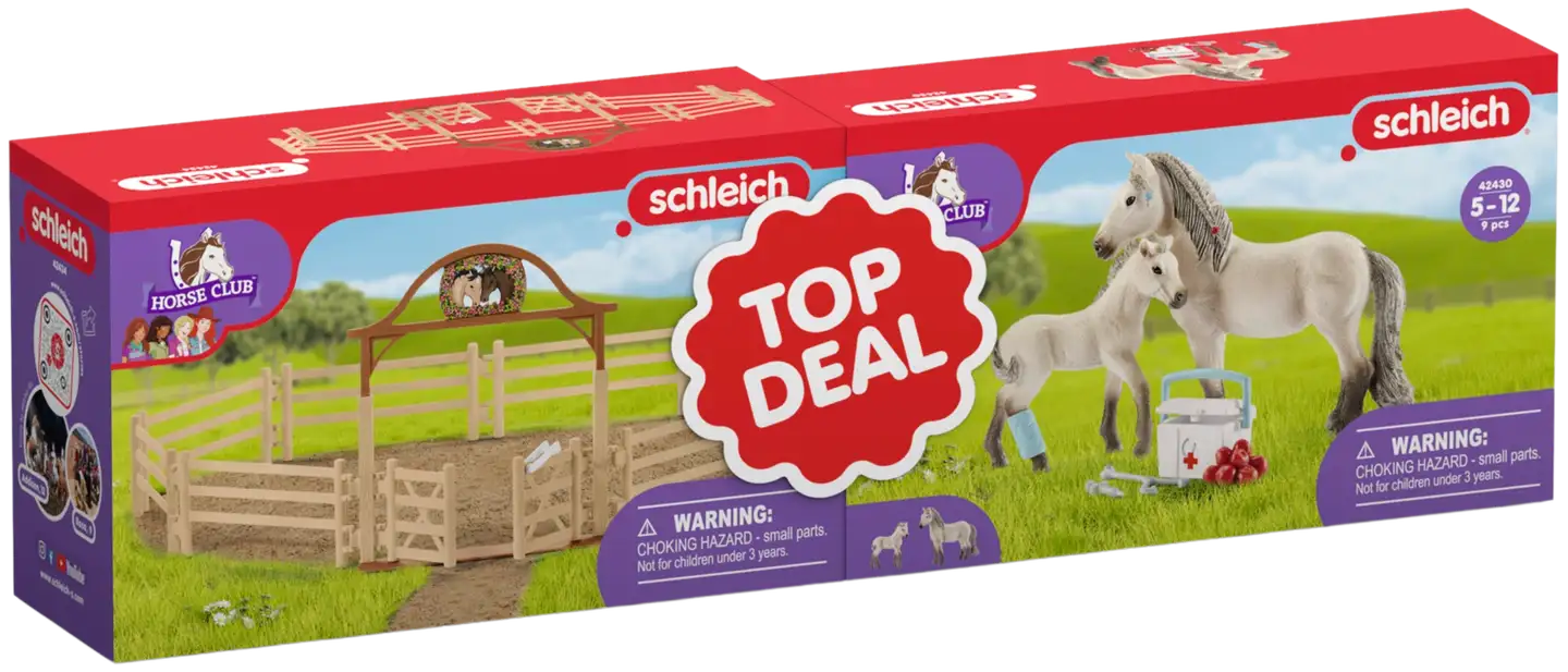 Schleich Horse Club 2 in 1 pakkaus - 1