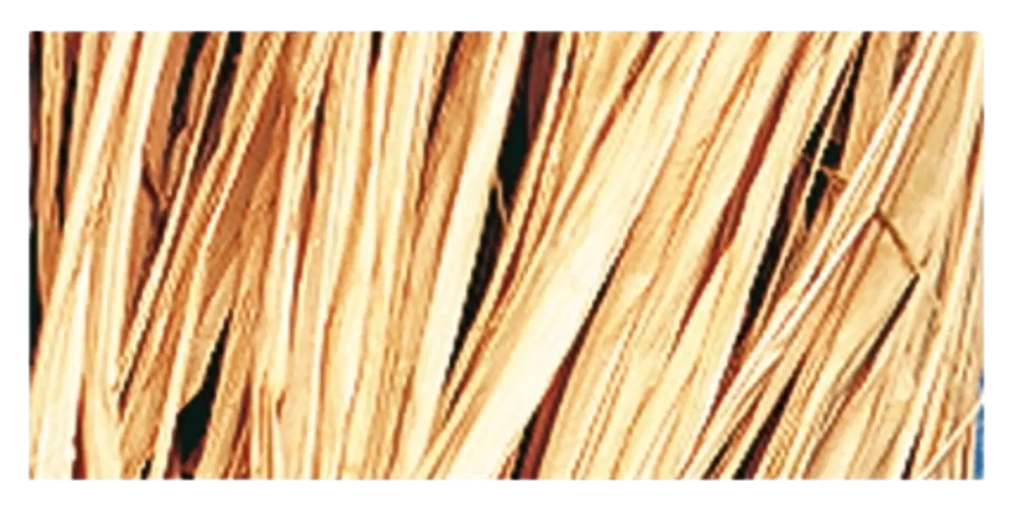 Rayher Hobby natural raffia, luonnollinen, nippu 25 g - 2