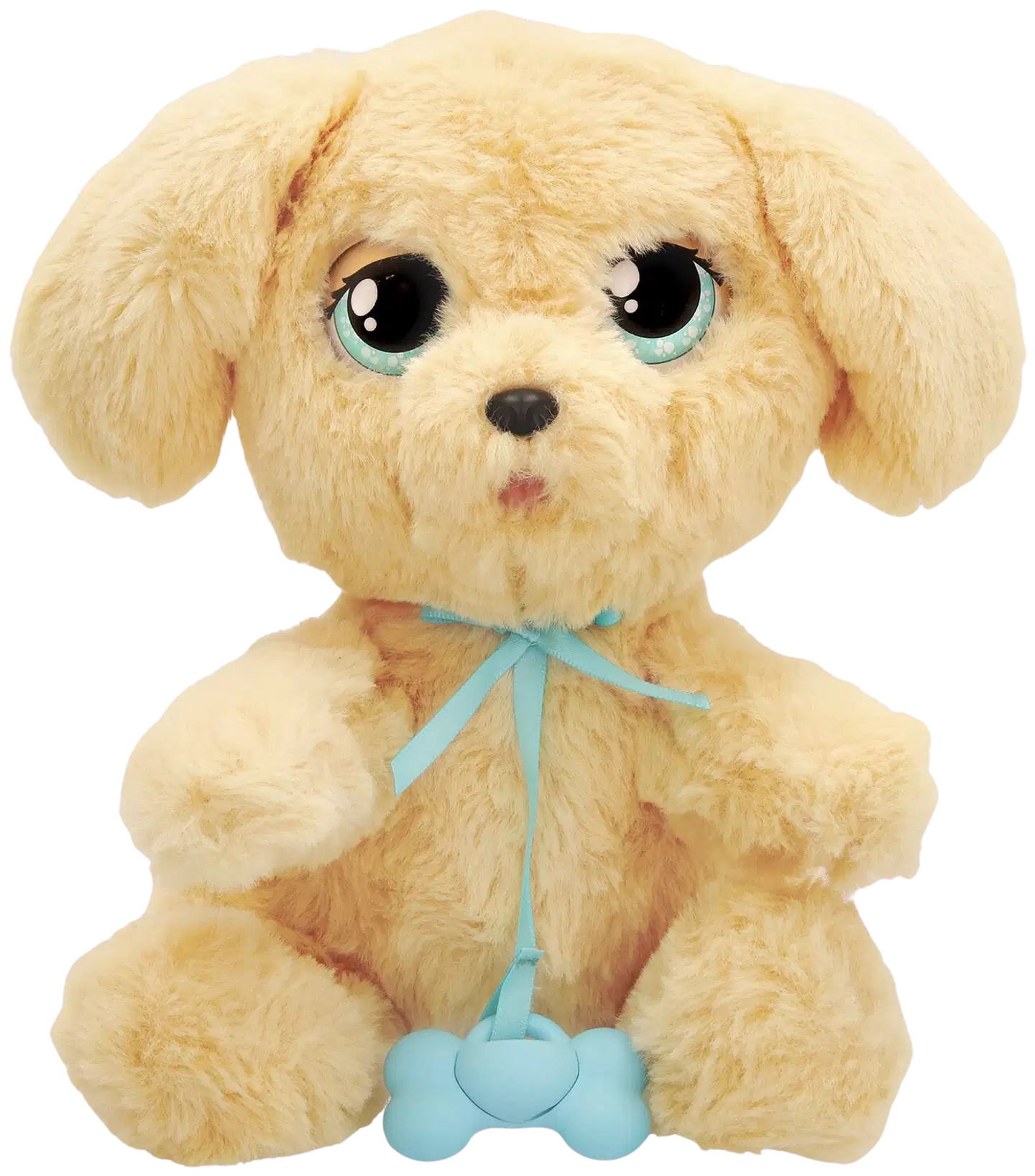 Baby Paws Labradori - 6