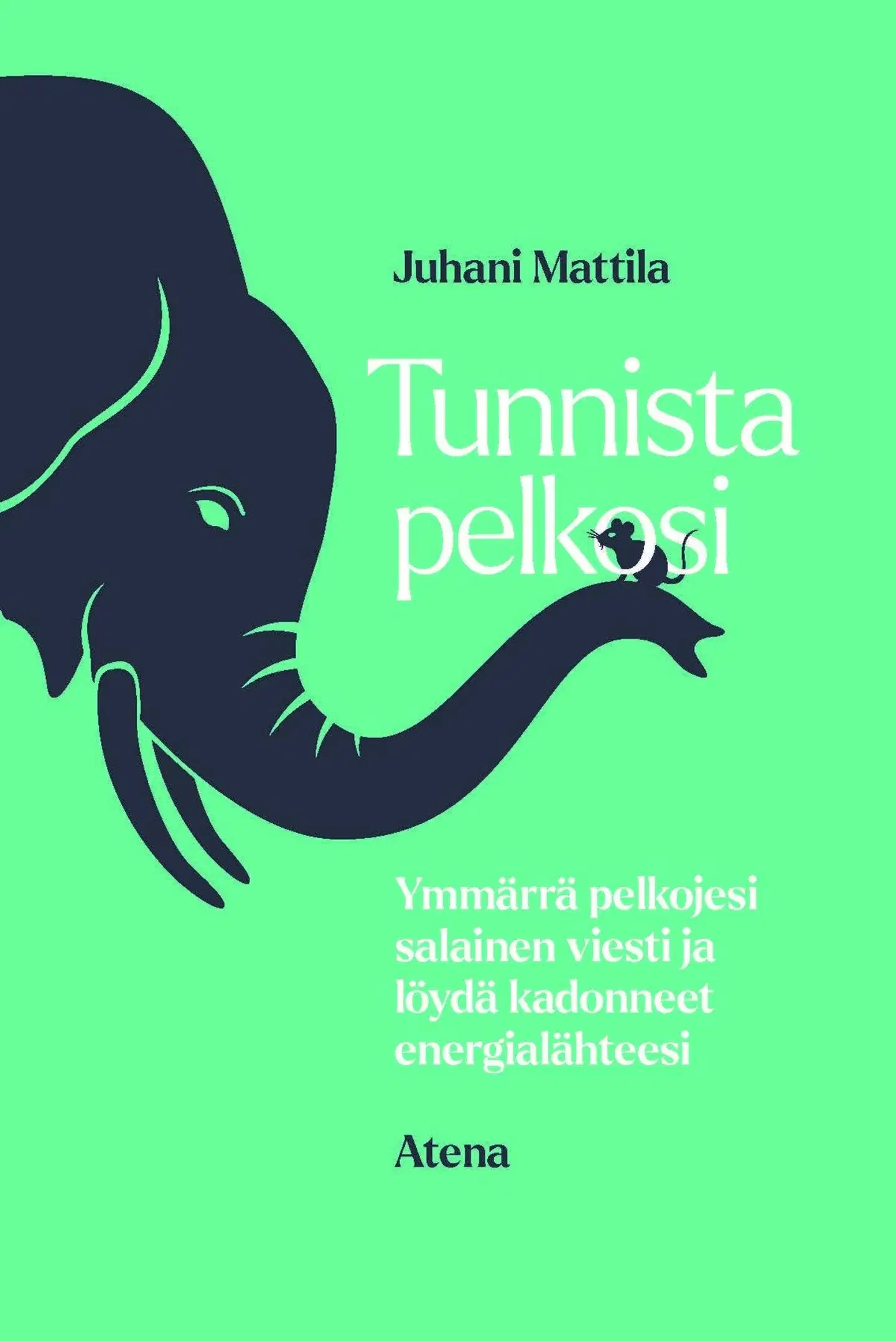 Mattila, Tunnista pelkosi - Ymmärrä pelkojesi salainen viesti ja löydä kadonneet energialähteesi