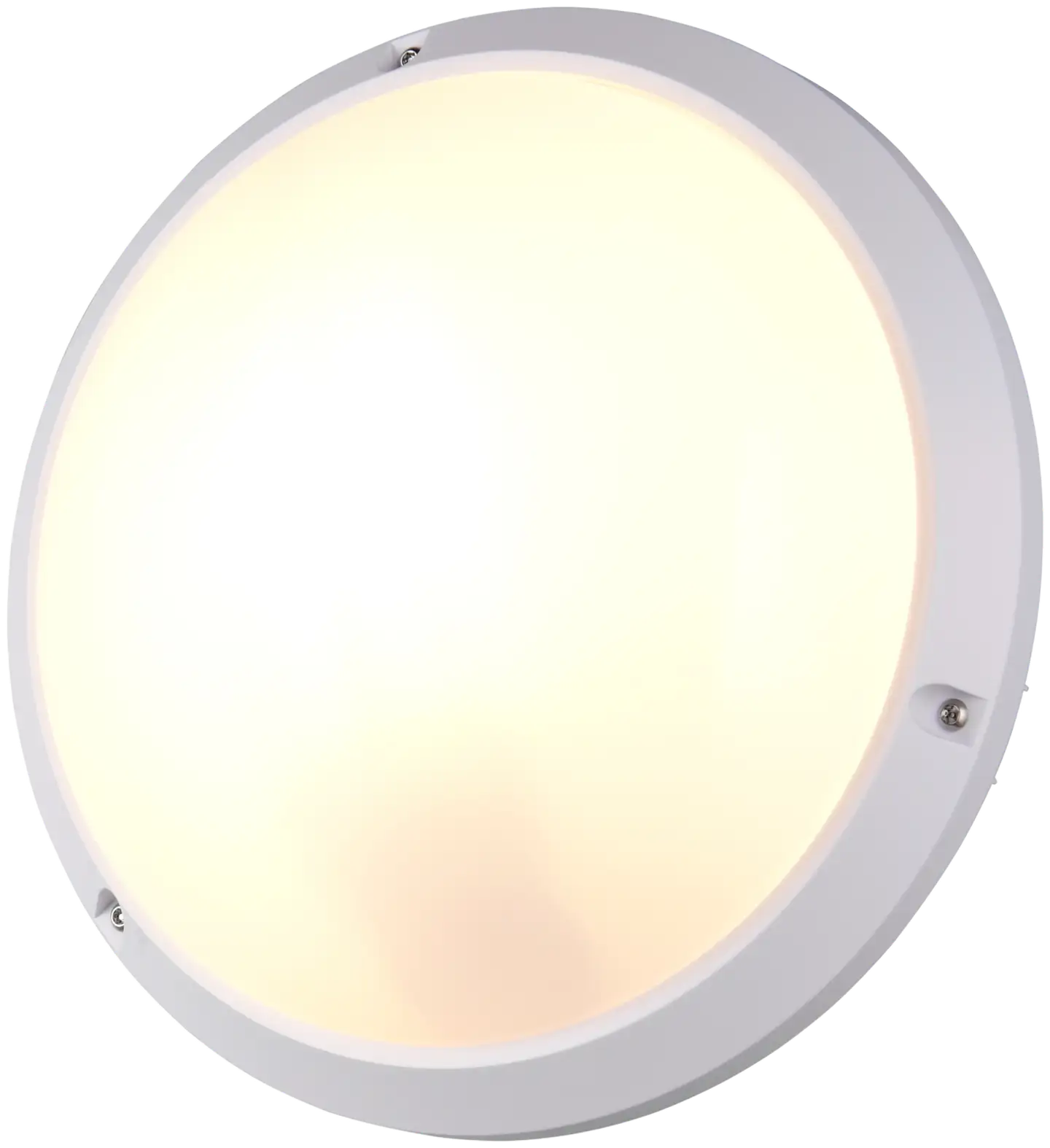 Trio ulkovalaisin Ambato 27 valkoinen IP65 iskunkestävä IK10 seinä- ja kattoasennus - 5