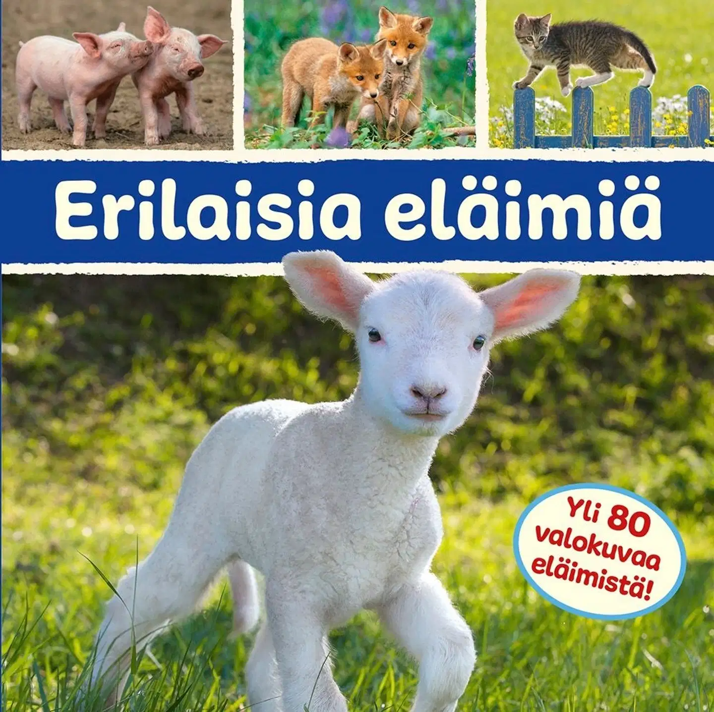 Erilaisia eläimiä