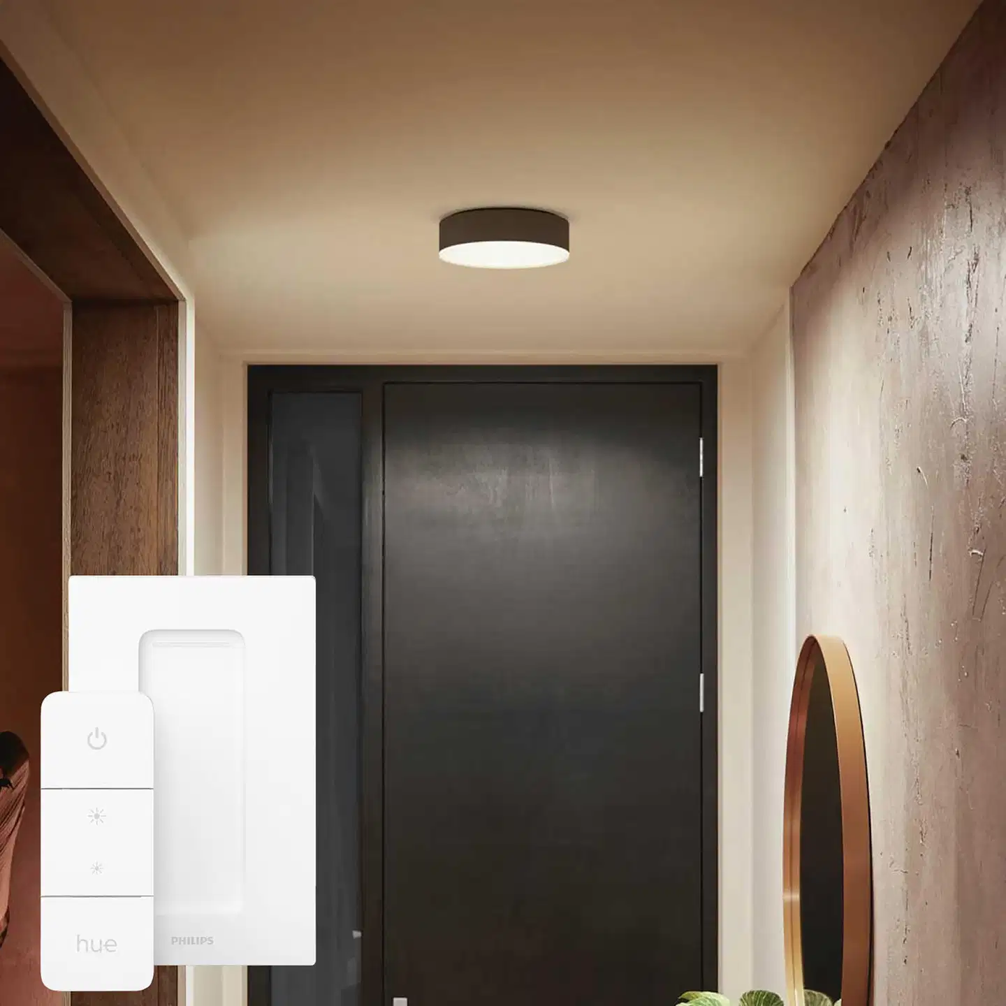Philips Hue Enrave -kattovalaisin 10W 2200-6500K 1220LM pieni musta - 6