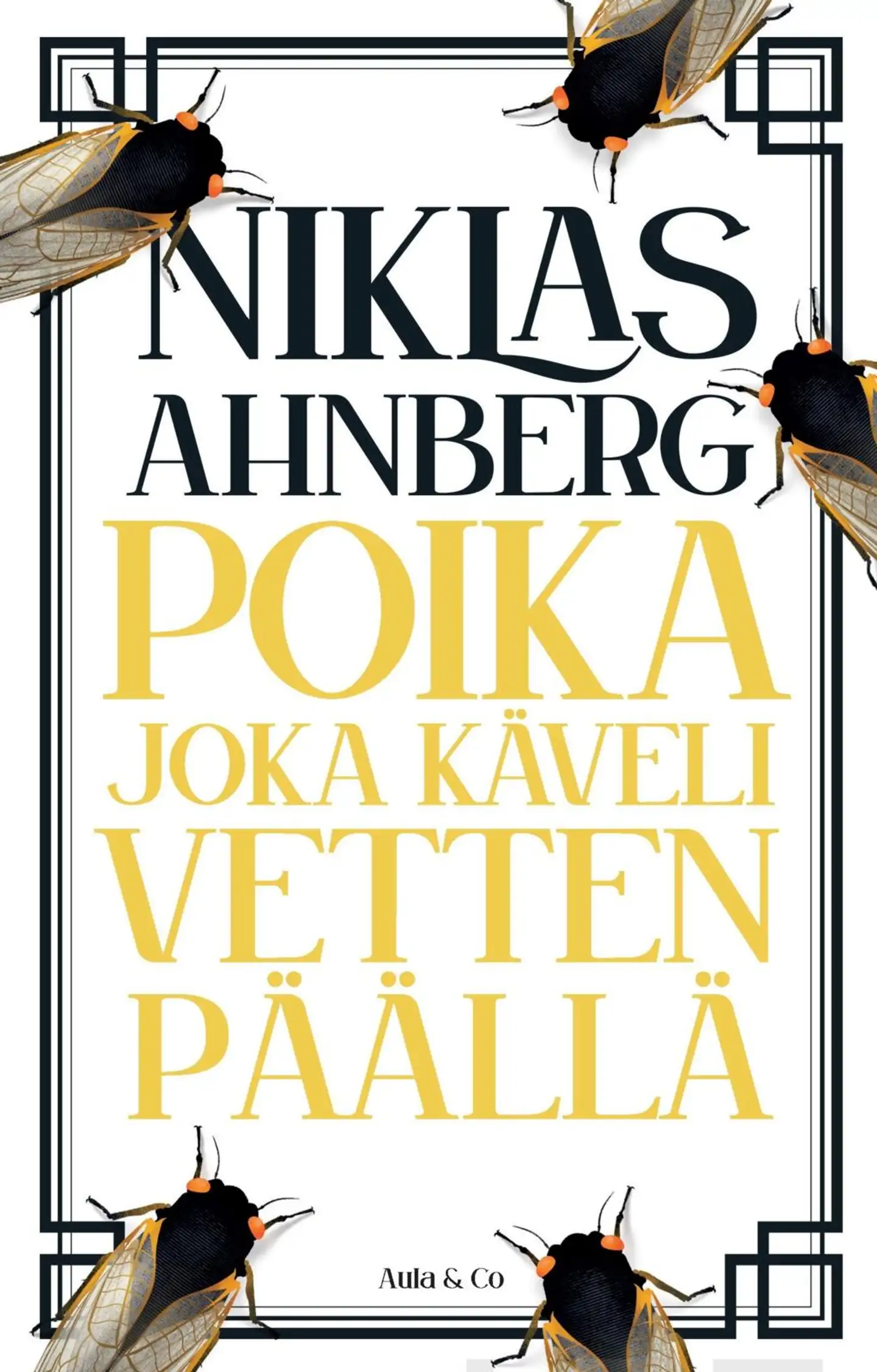 Ahnberg, Poika joka käveli vetten päällä