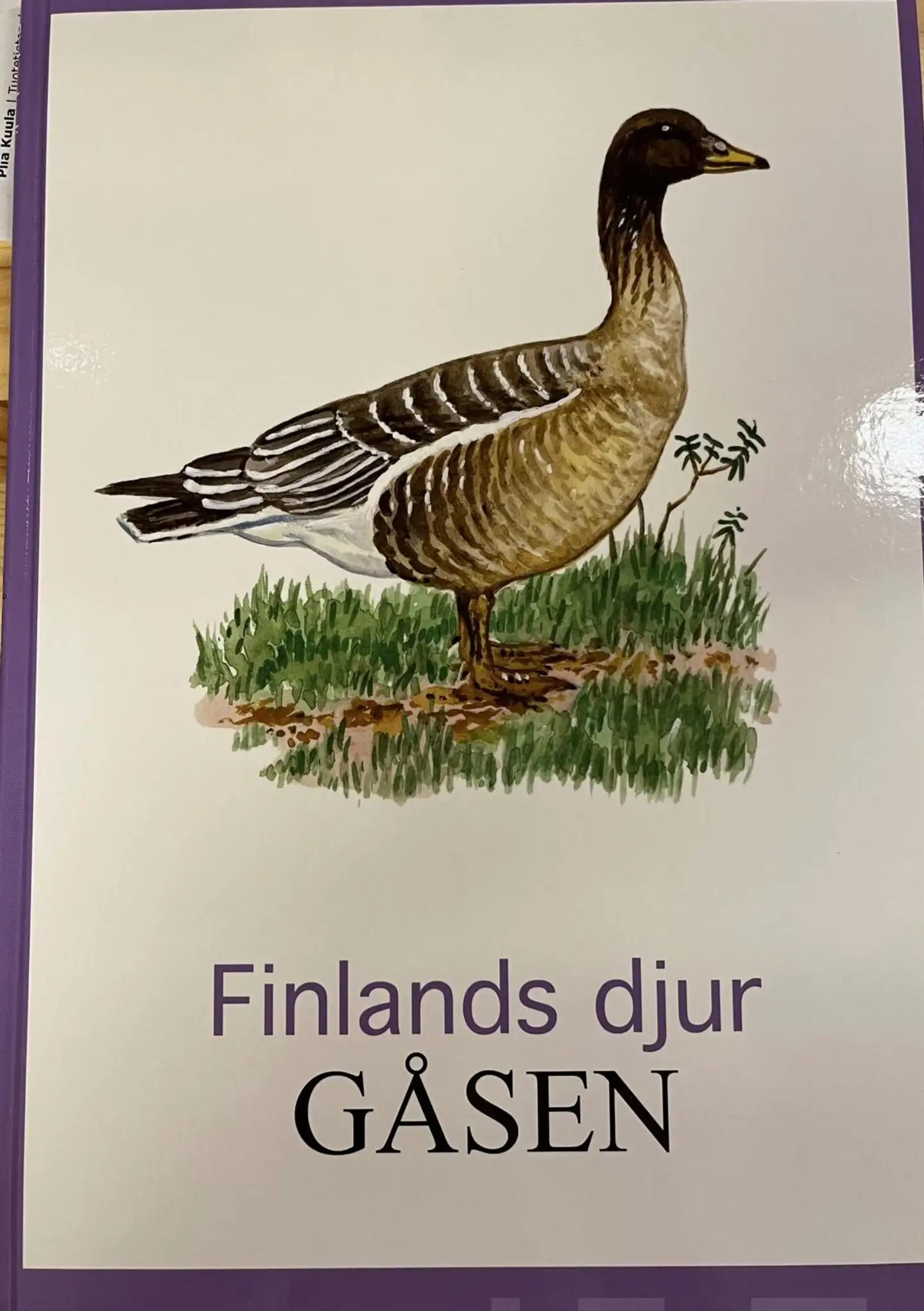 Gåsen