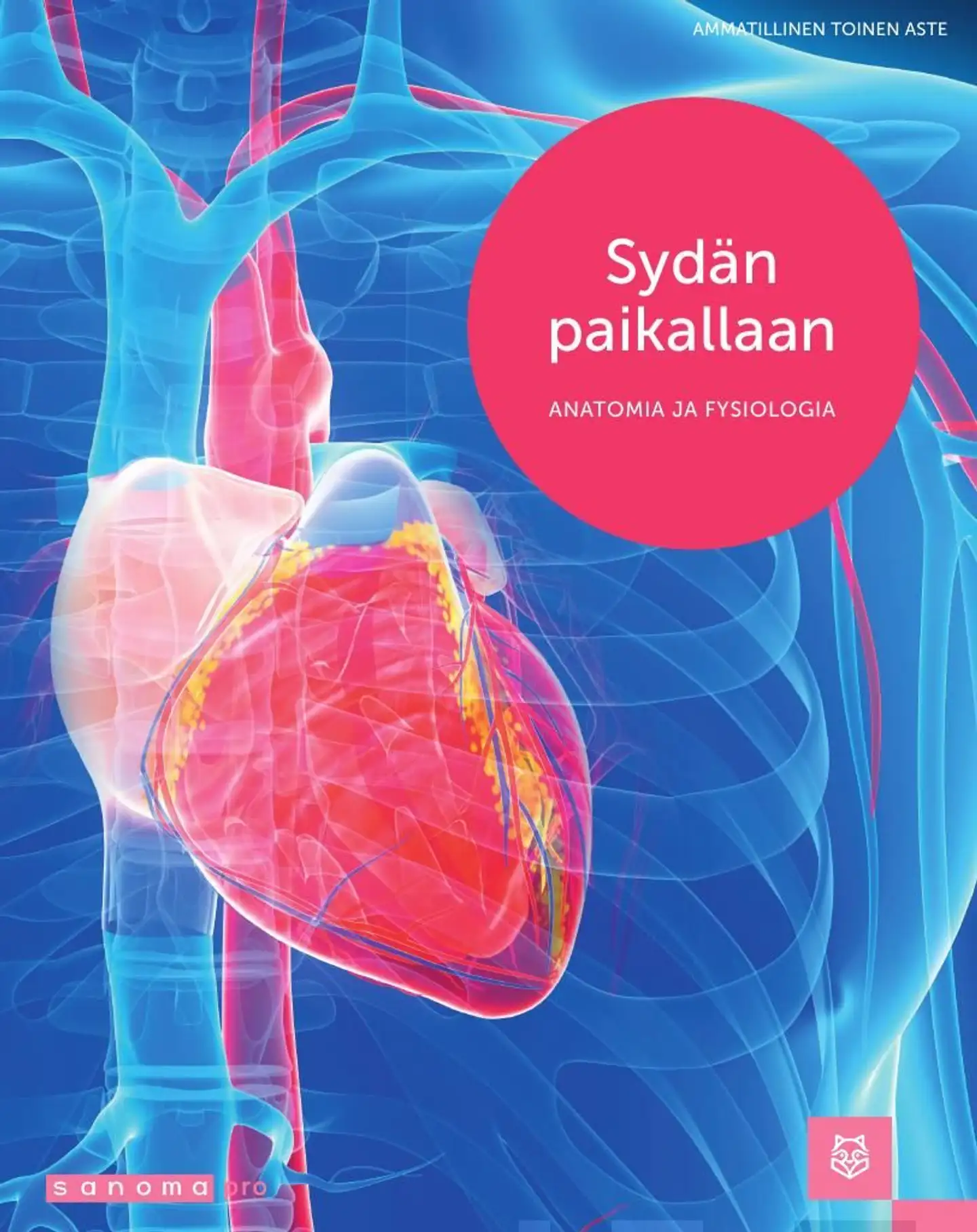 Hernesniemi, Sydän paikallaan - Anatomia ja fysiologia