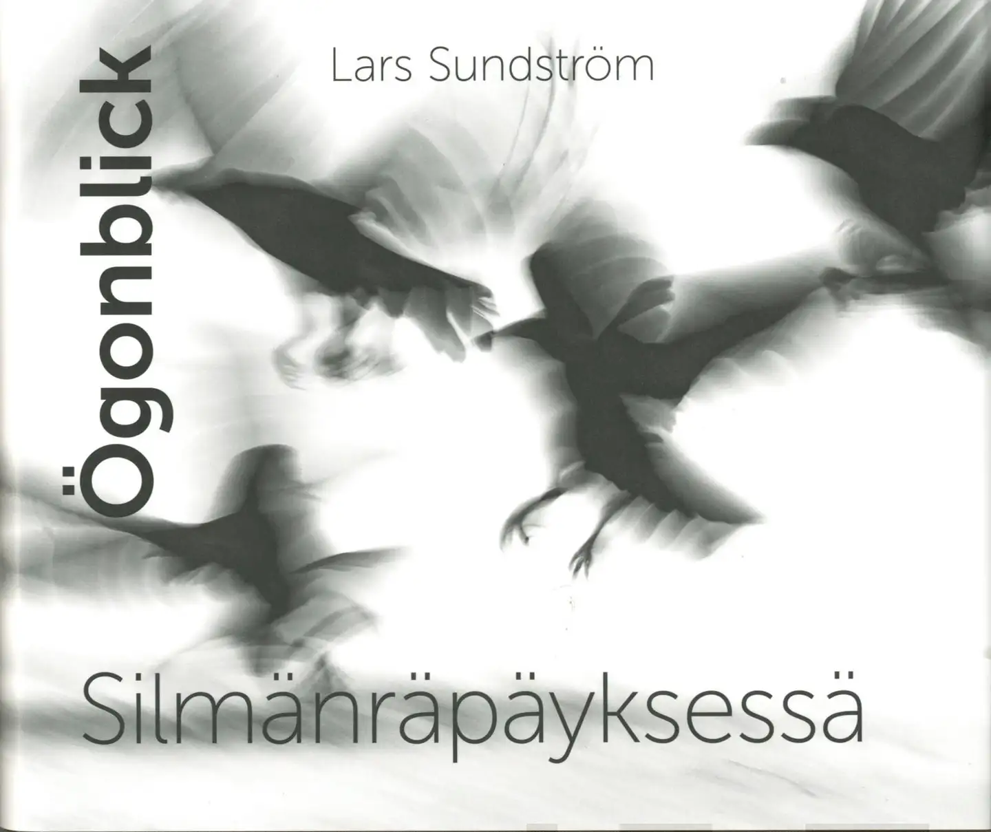 Sundström, Ögonblick - Silmänräpäyksessä