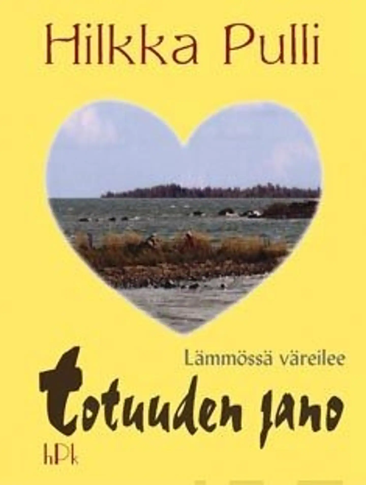 Pulli, Lämmössä väreilee totuuden jano - romaani
