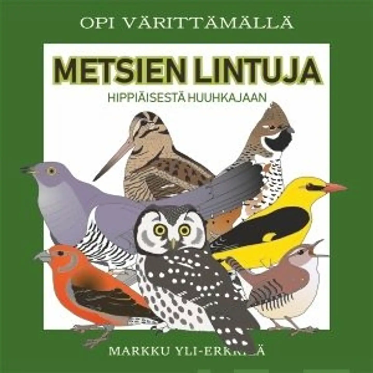 Metsien lintuja - Hippiäisestä huuhkajaan