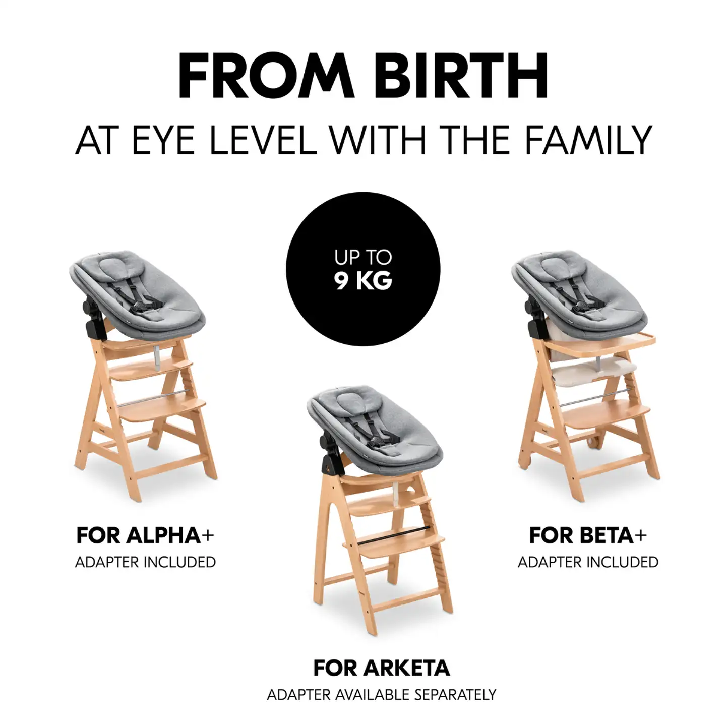 Hauck sitteri Highchair Bouncer tummanharmaa - 15