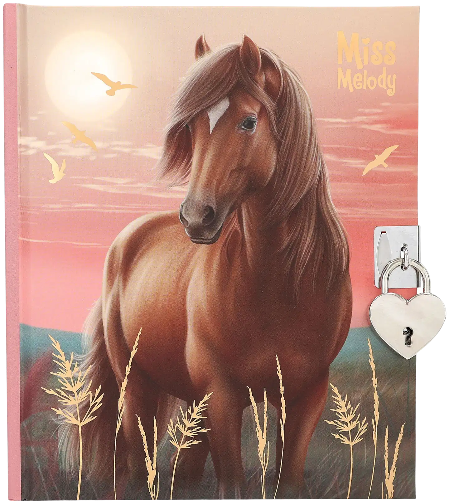 Miss Melody päiväkirja - 1