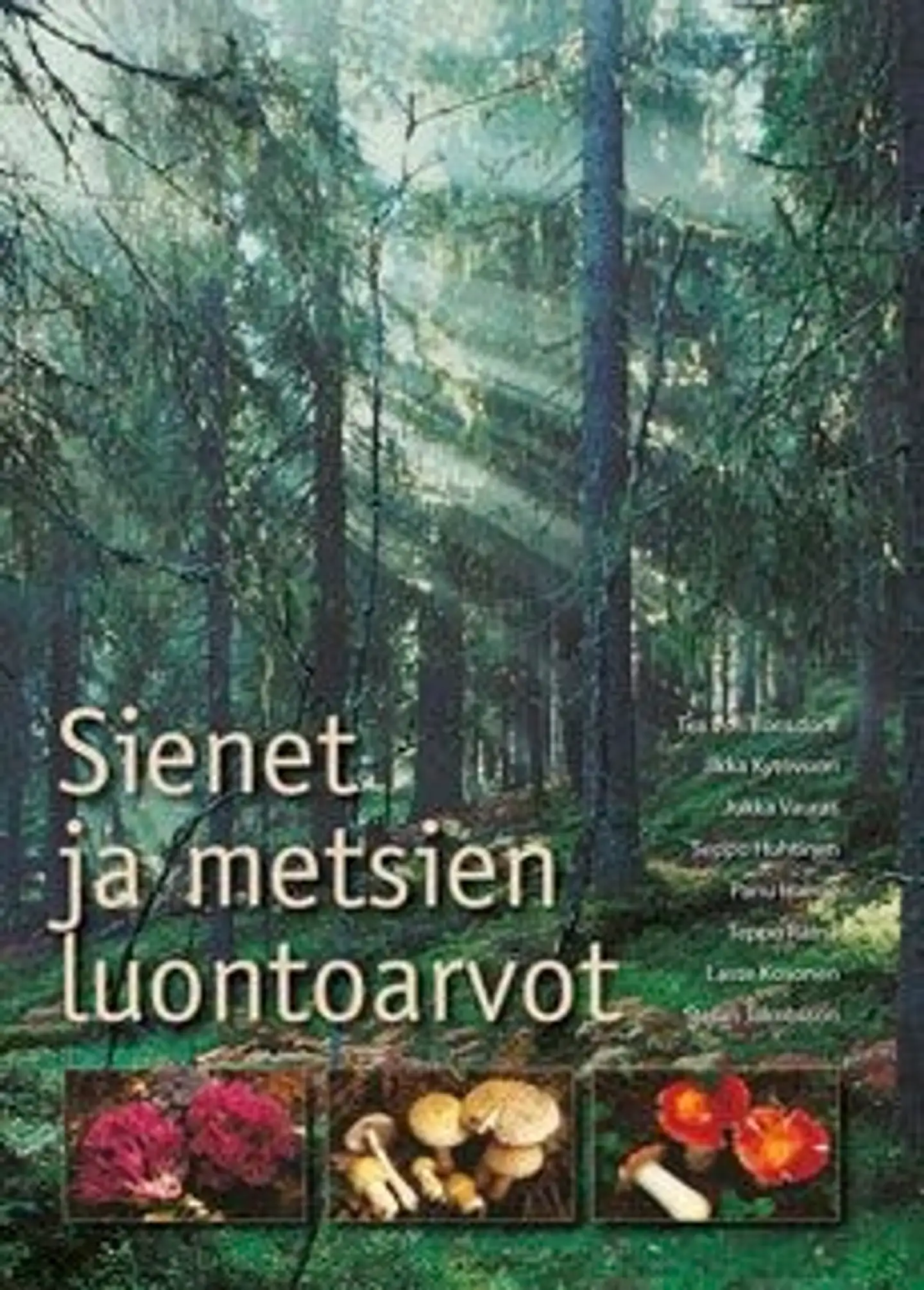 Bonsdorff, Sienet ja metsien luontoarvot