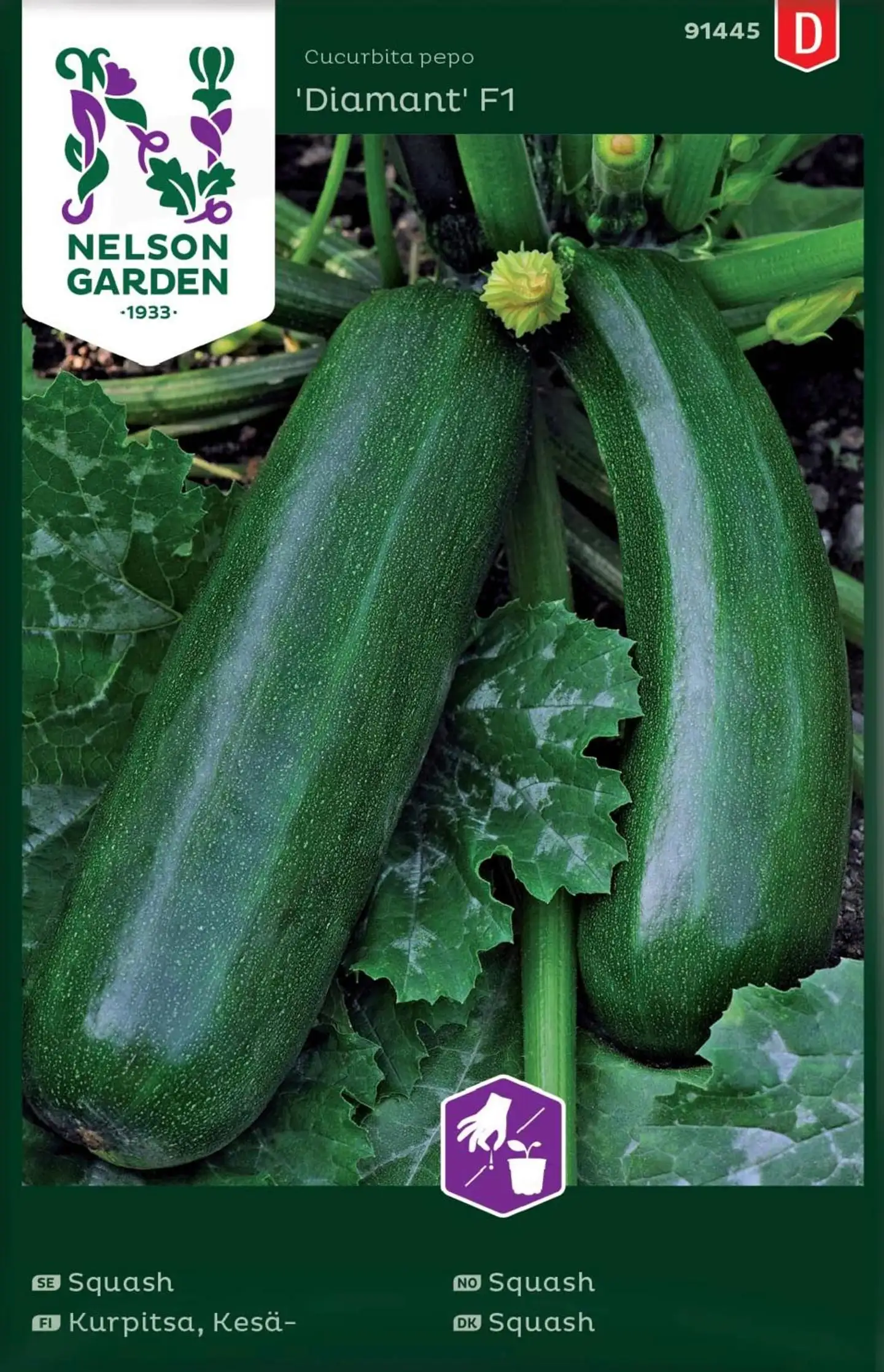 Nelson Garden Siemen Kurpitsa, Kesä-, Zucchini/Diamant F1