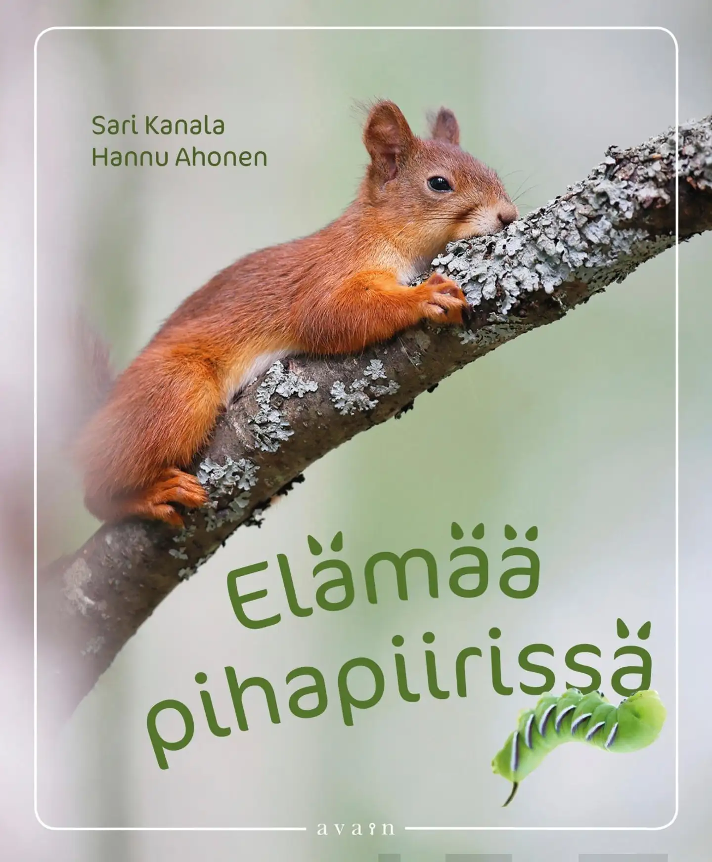 Kanala, Elämää pihapiirissä