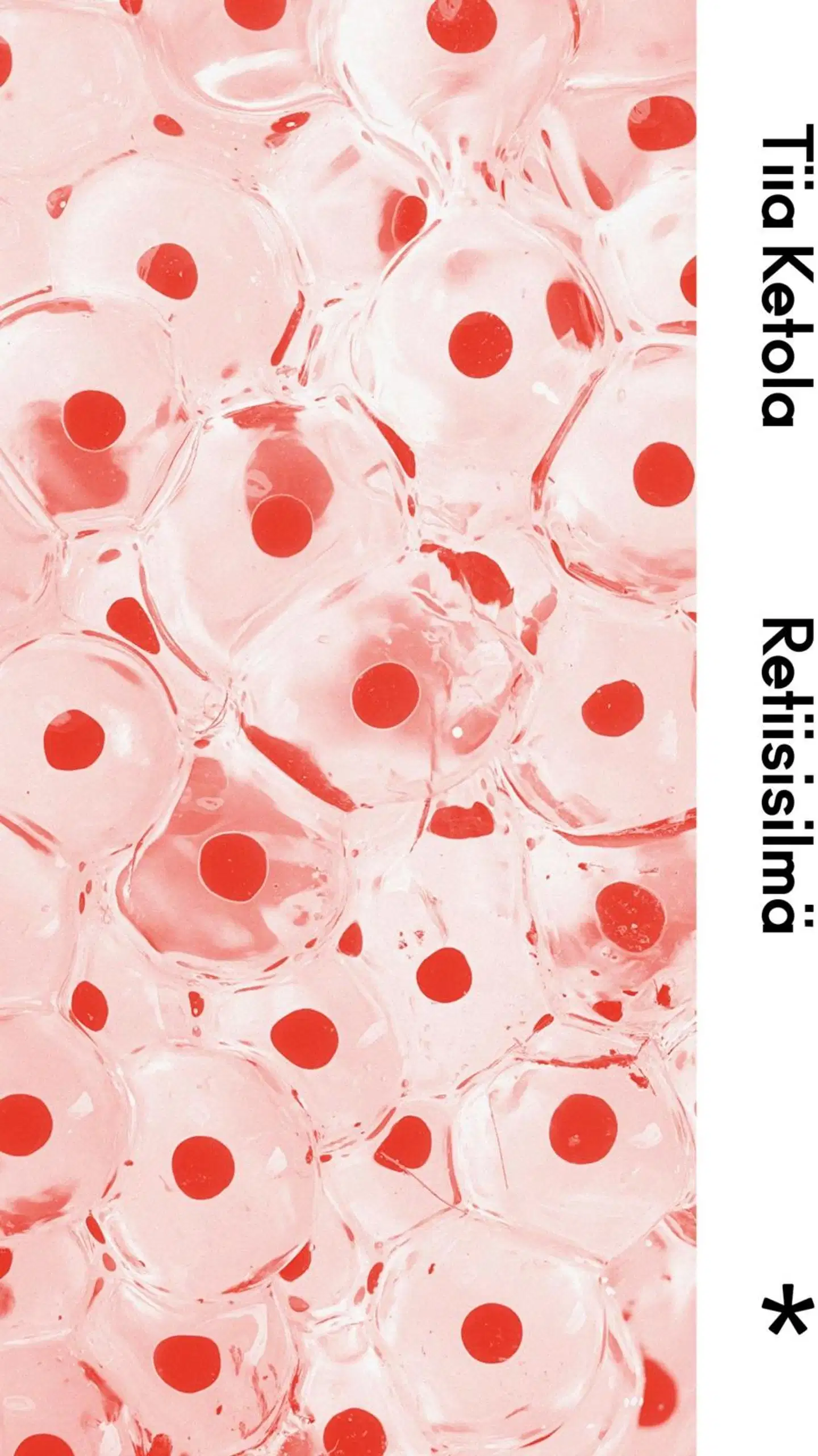 Ketola, Retiisisilmä