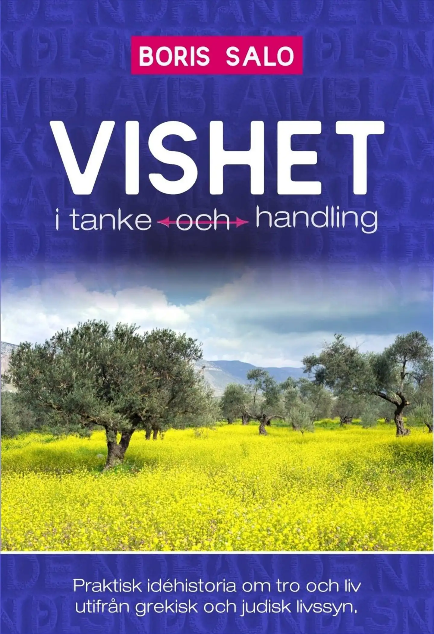 Salo, Vishet i tanke och handling - Praktisk idéhistoria för tro och liv utifrån grekisk och judisk livssyn