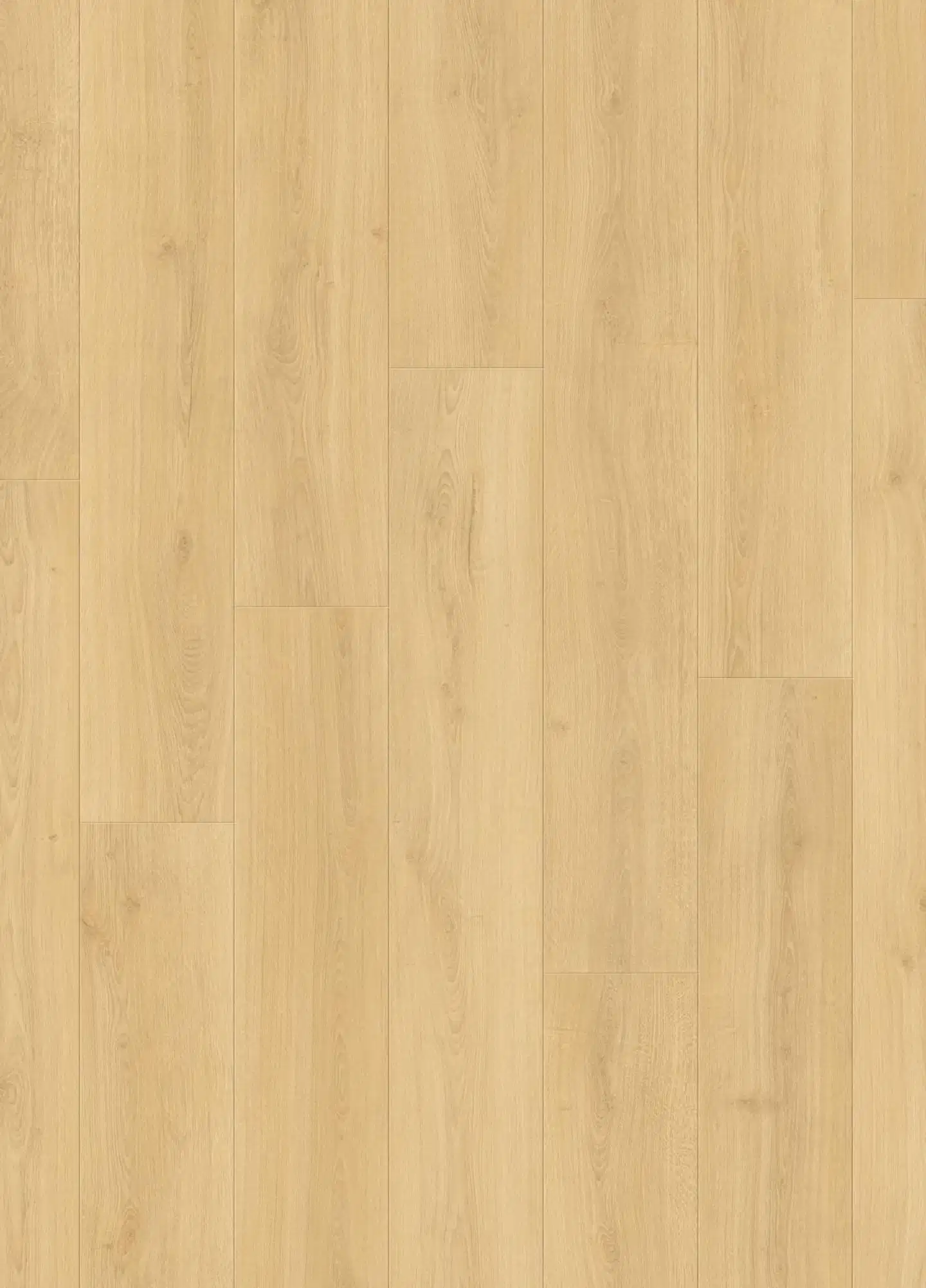 Pergo laminaatti Lillehammer Silk Oak - 1