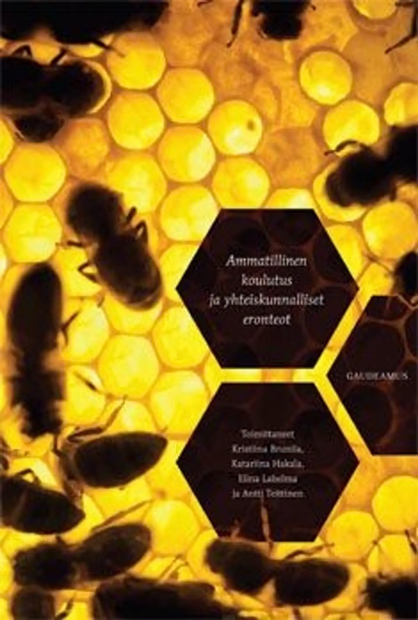 Ammatillinen koulutus ja yhteiskunnalliset eronteot
