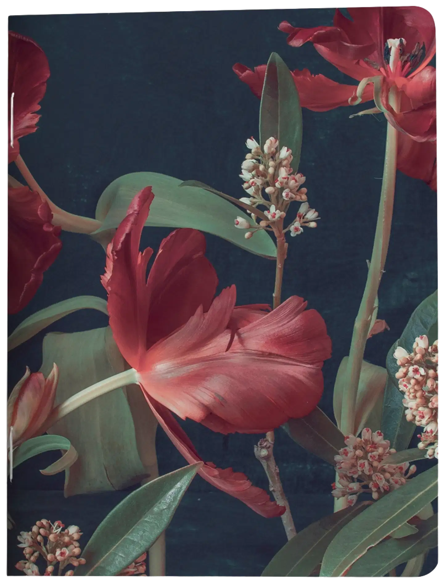 VIHKO 9x12 PUTINKI JÄRVENPÄÄ Tulip Talking 2020