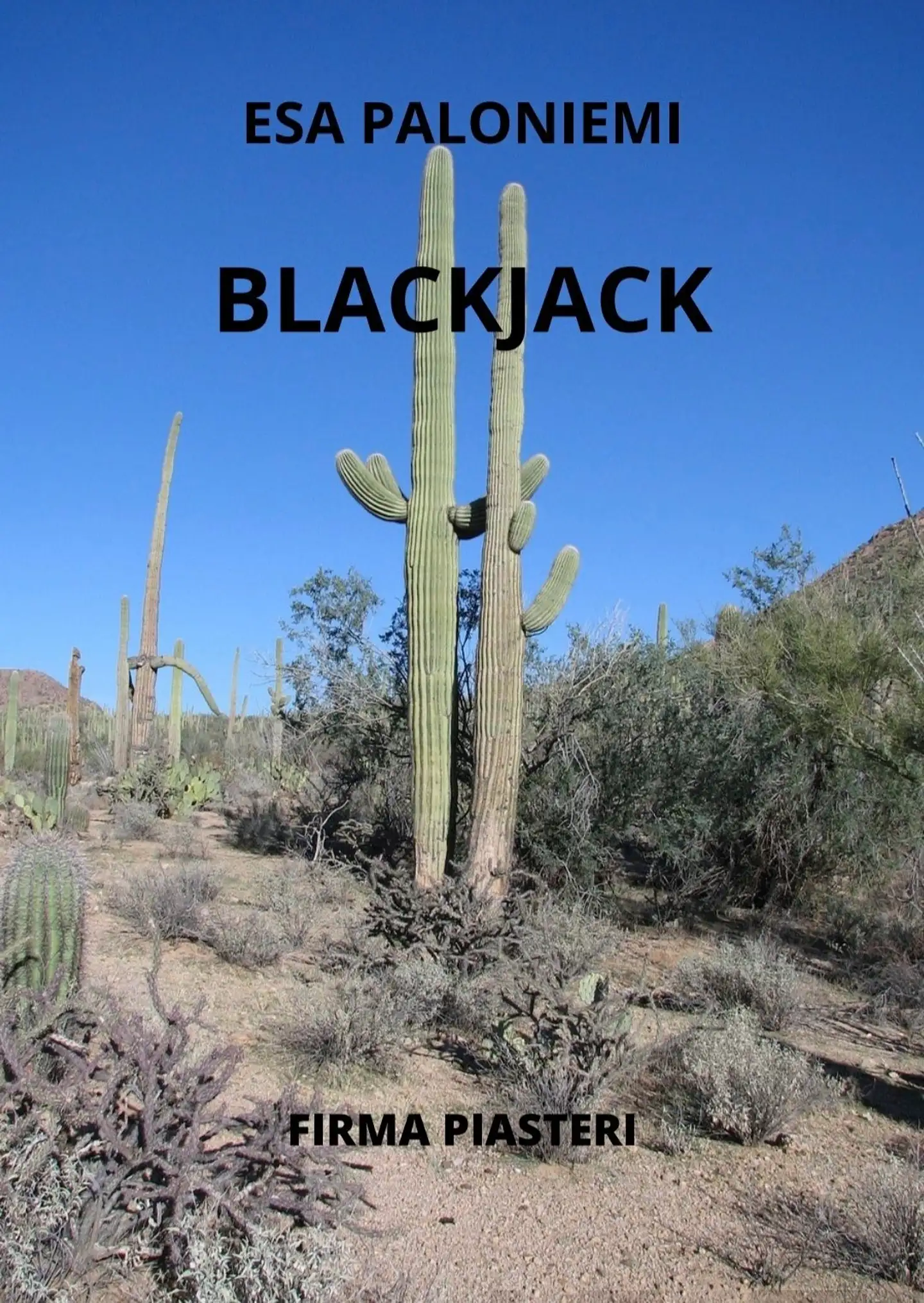 Paloniemi, Blackjack