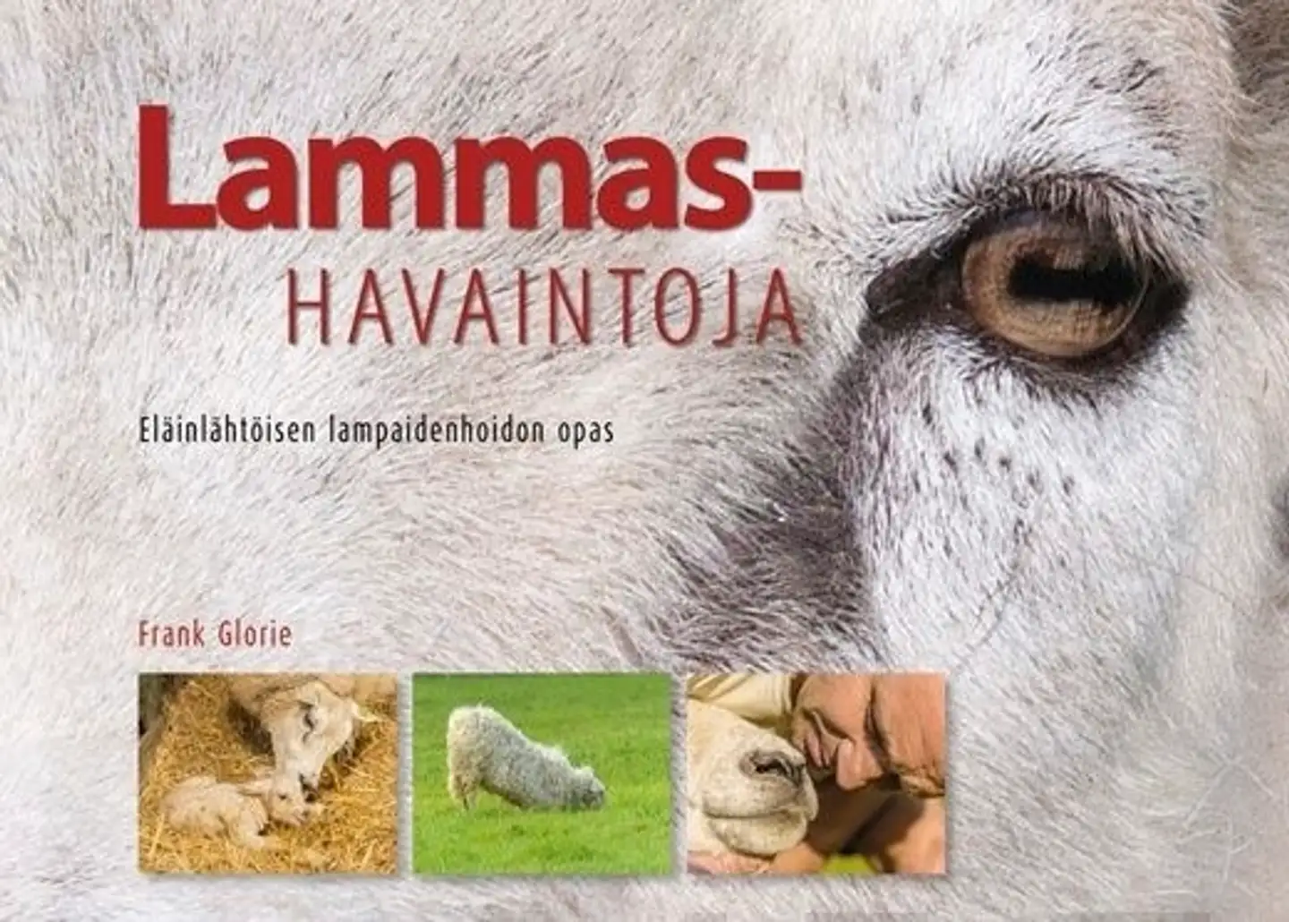 Glorie, Lammashavaintoja - Eläinlähtöisen lampaidenhoidon opas