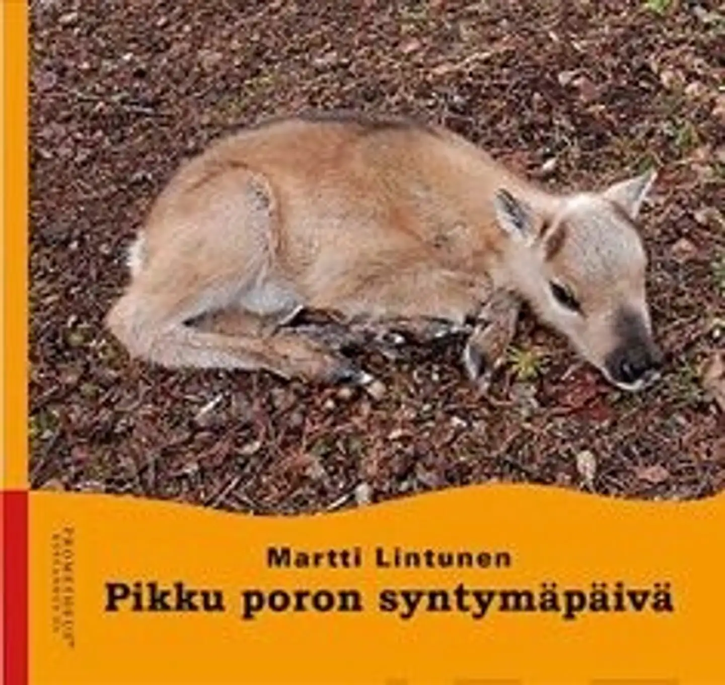 Lintunen, Pikku poron syntymäpäivä