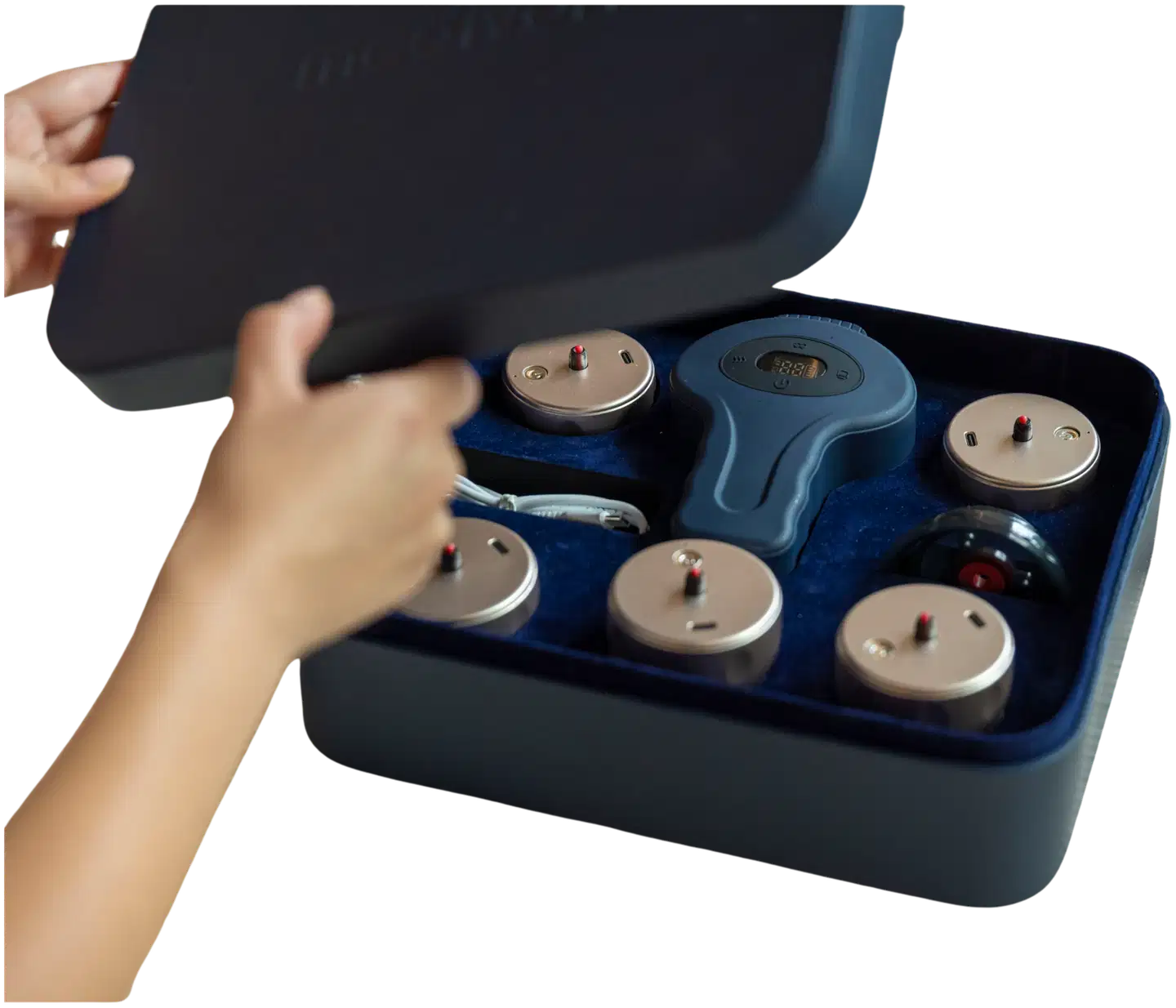 Beautifly Imukuppihieroja Celestine - 7