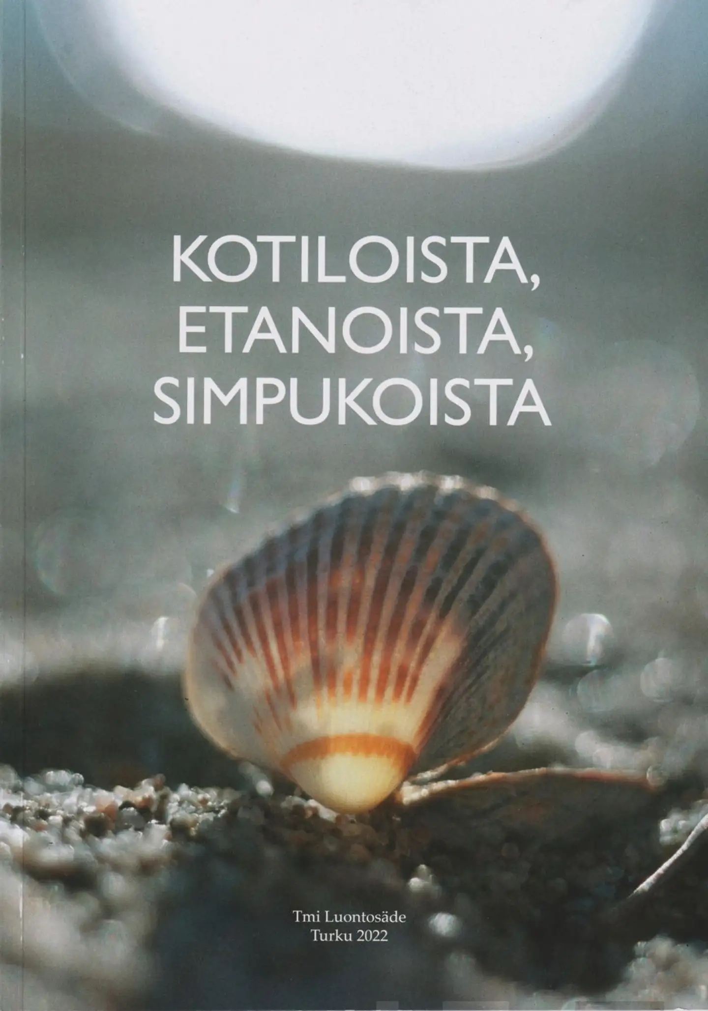 Kotiloista, etanoista, simpukoista