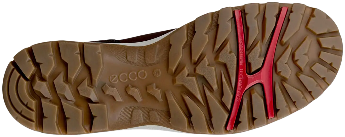 Ecco naisten nilkkuri Xpedition WPTF nilkkuri - Mocha/Camel - 9