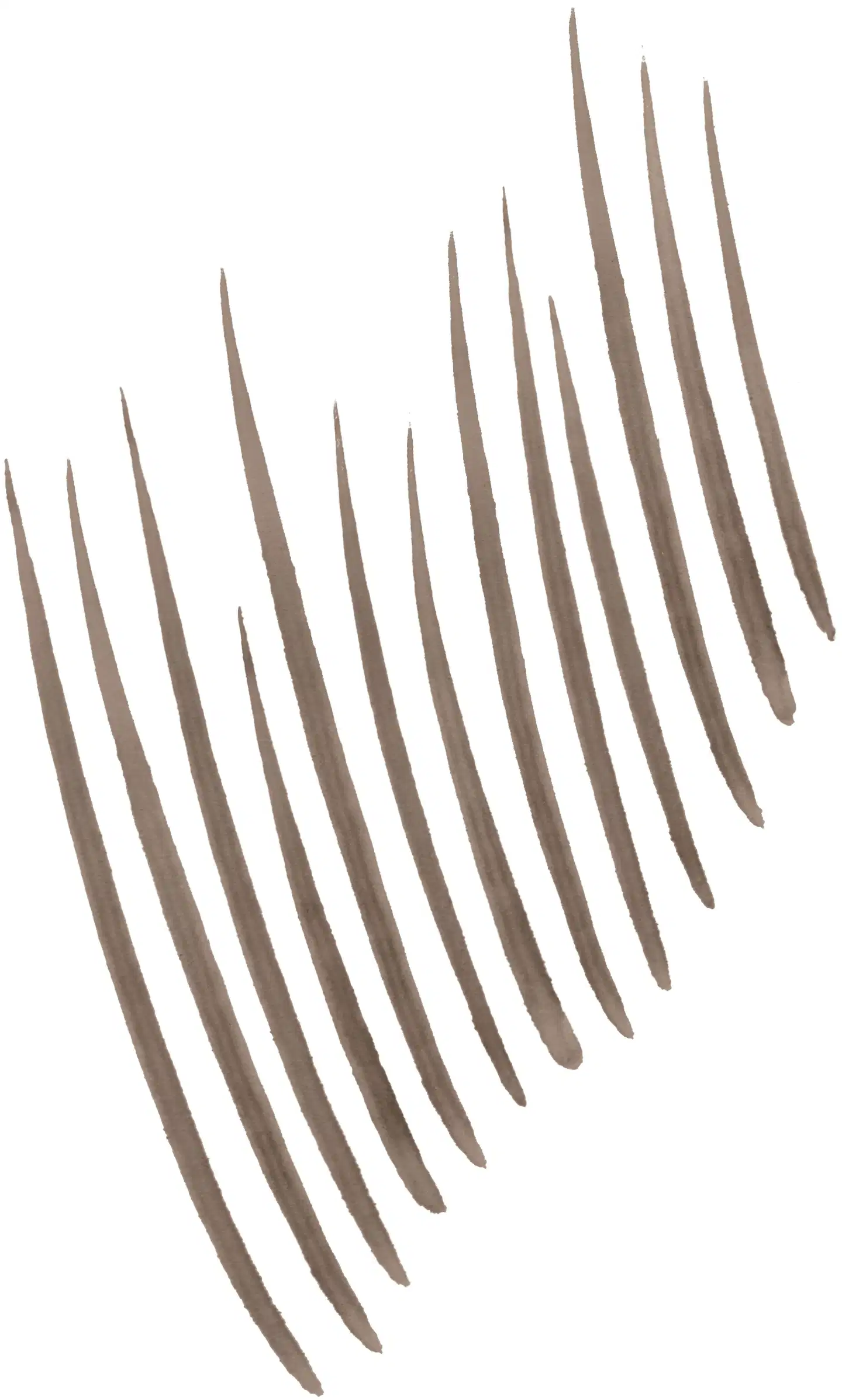 Maybelline New York Build-a-Brow Pen 257 Medium Brown kulmakynä - Ash Brown - 4