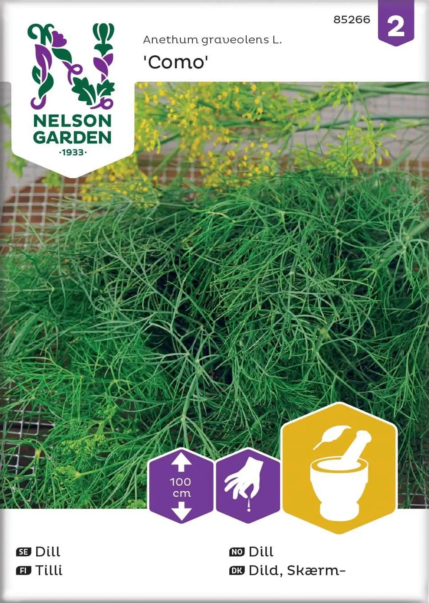 Nelson Garden Siemen Tilli, Como