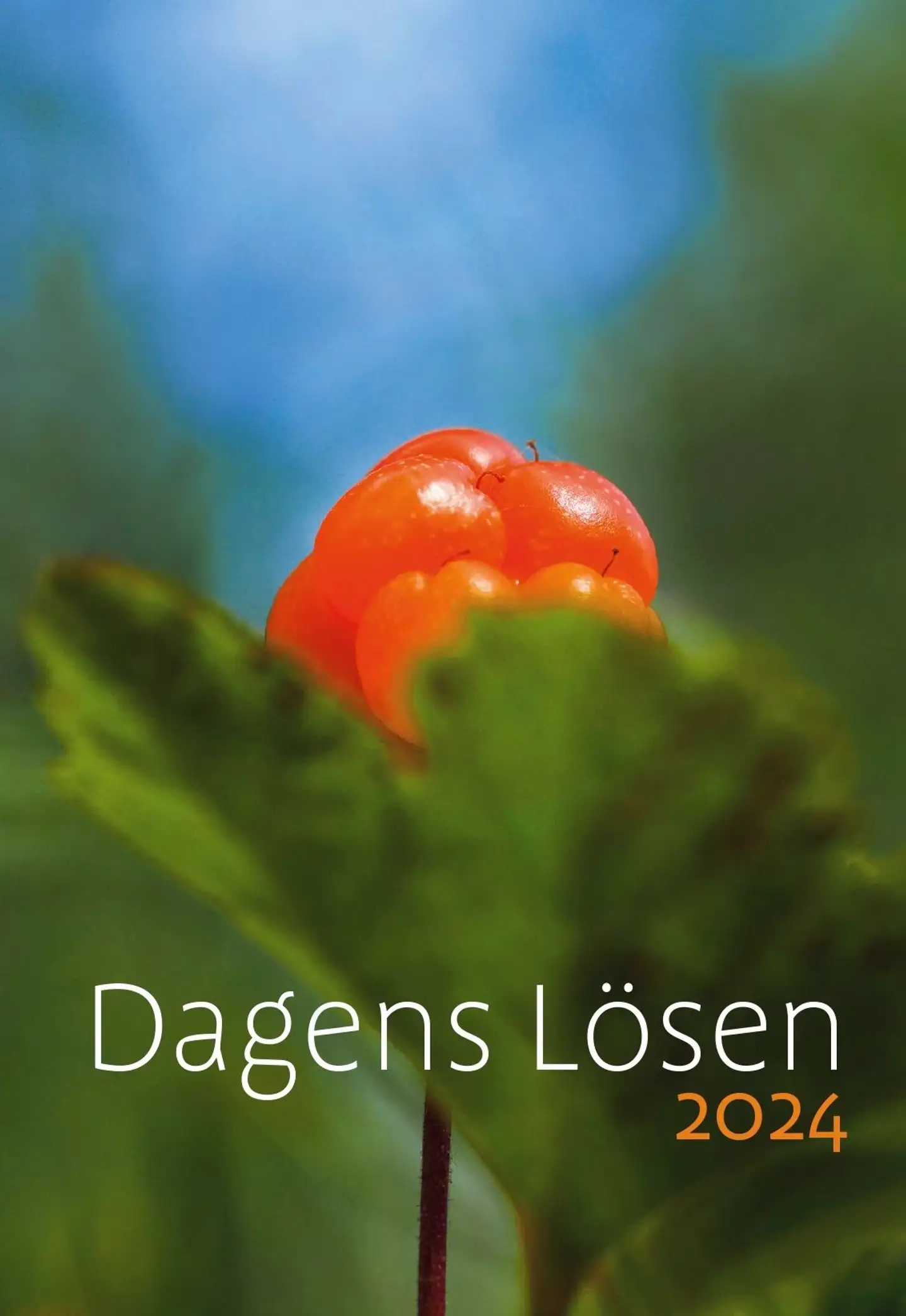 Dagens Lösen 2024